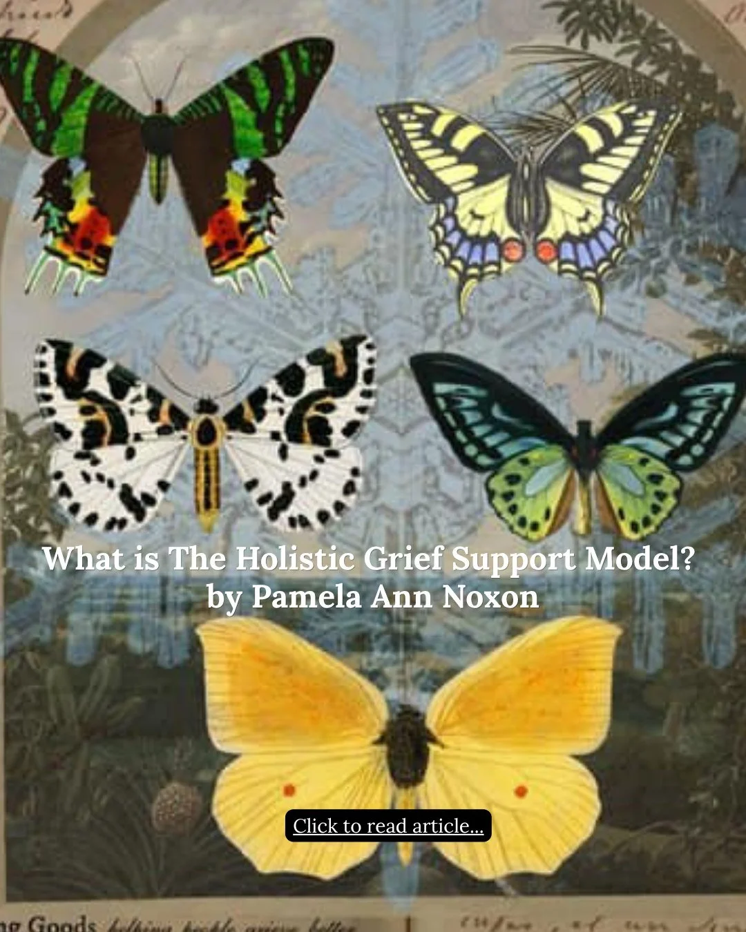 Holistic Grief Support: The Four-Dimensional Model of Grief; Mind, Body, Emotions, and Spirit Holistic Grief Support and Coaching in personal sessions, workshops, or groups - as created and taught by me; trauma-informed Holistic Grief Educator, Grief