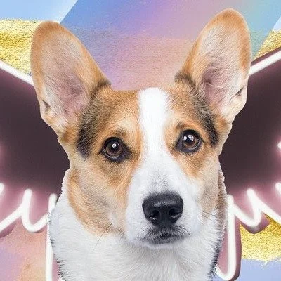 French poet Anatole France said, &ldquo;Until one has loved an animal, a part of one's soul remains unawakened.&rdquo; 

It is an honor and a privilege to sign on to love a pet or animal friend for their lifetime, be it long or short, knowing in our 