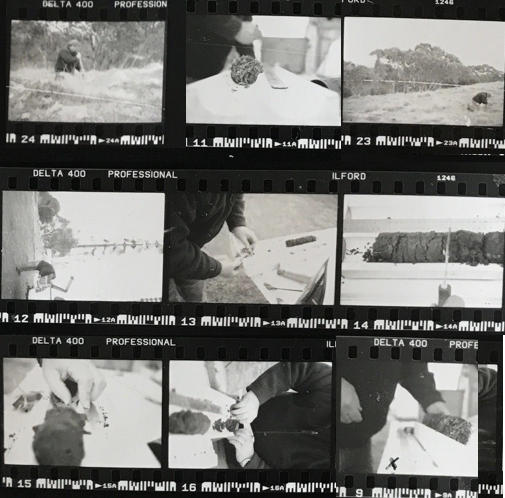 Screen+Shot+2019-06-08+at+10.39.12+am.png