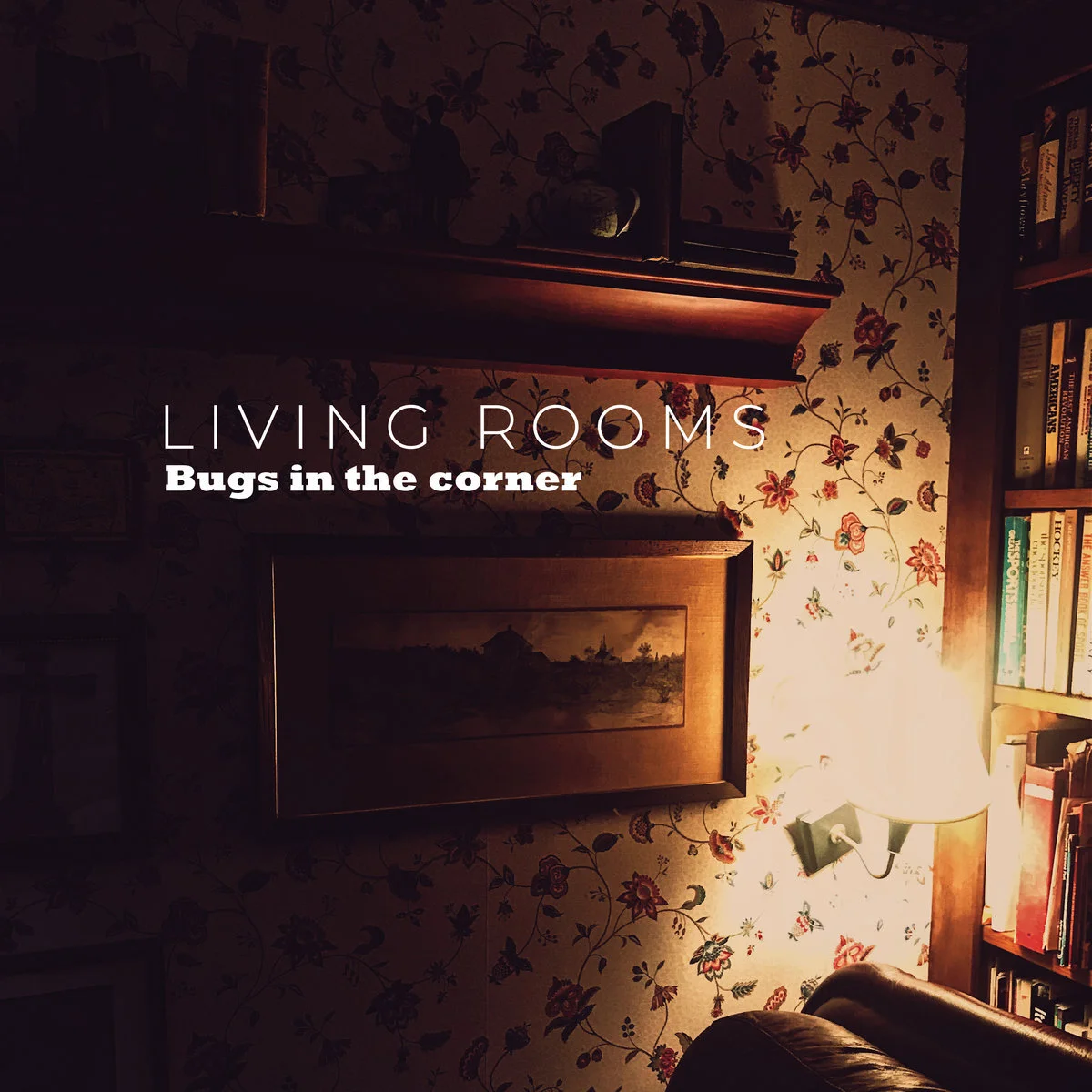 Bugs in the Corner - Living Rooms (produced, engineered, mixed) guitars, bass, drums, lead & backing vocals