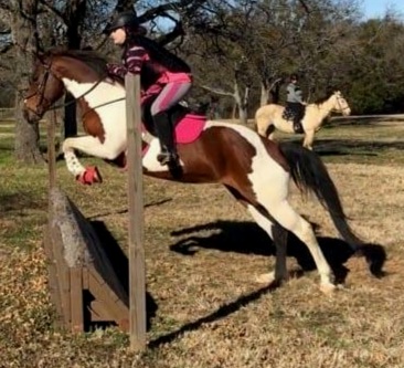 Galaxy Riding School