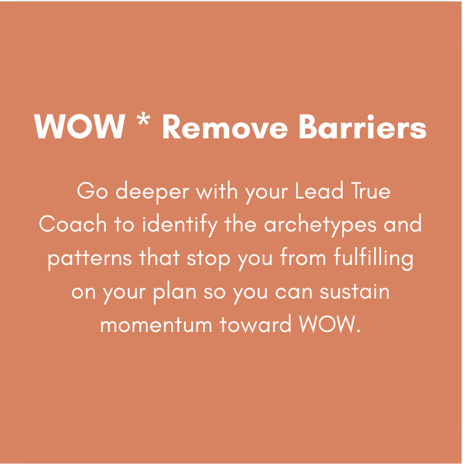 WOW * Remove Barriers