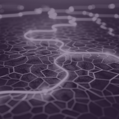 Two Languages, One Compass