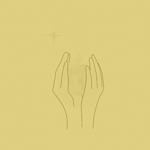 Political Maturity &amp; Stewarding Your Power