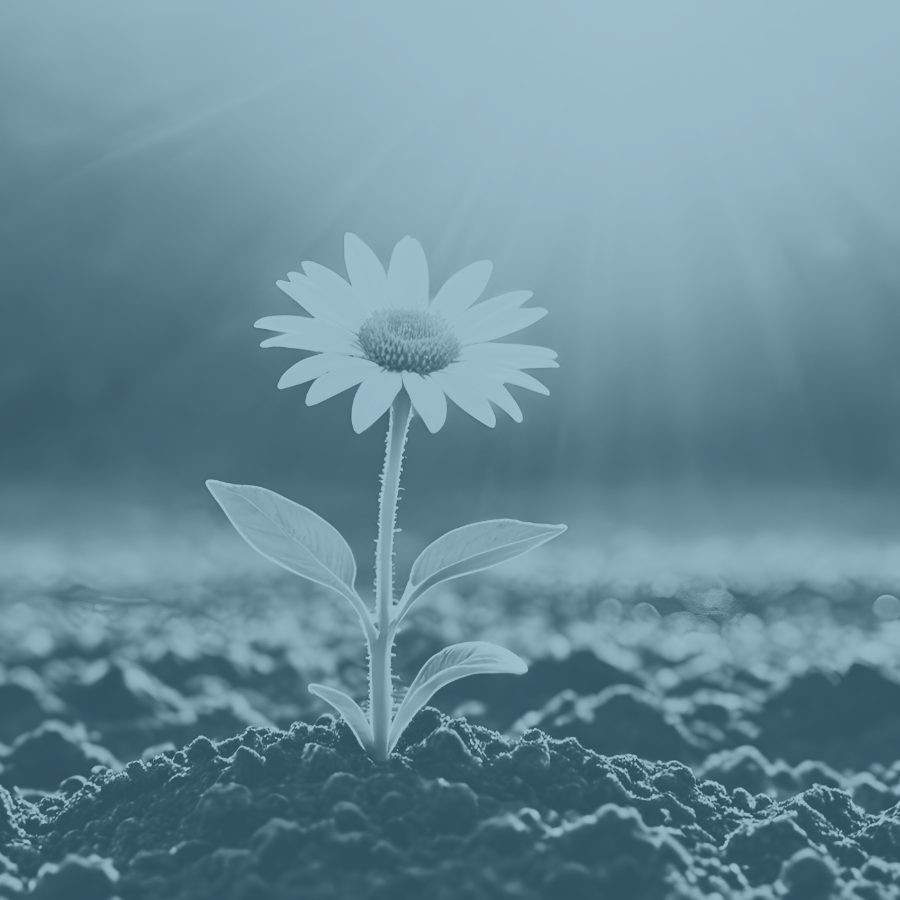 Leading from Within, for a Regenerative World