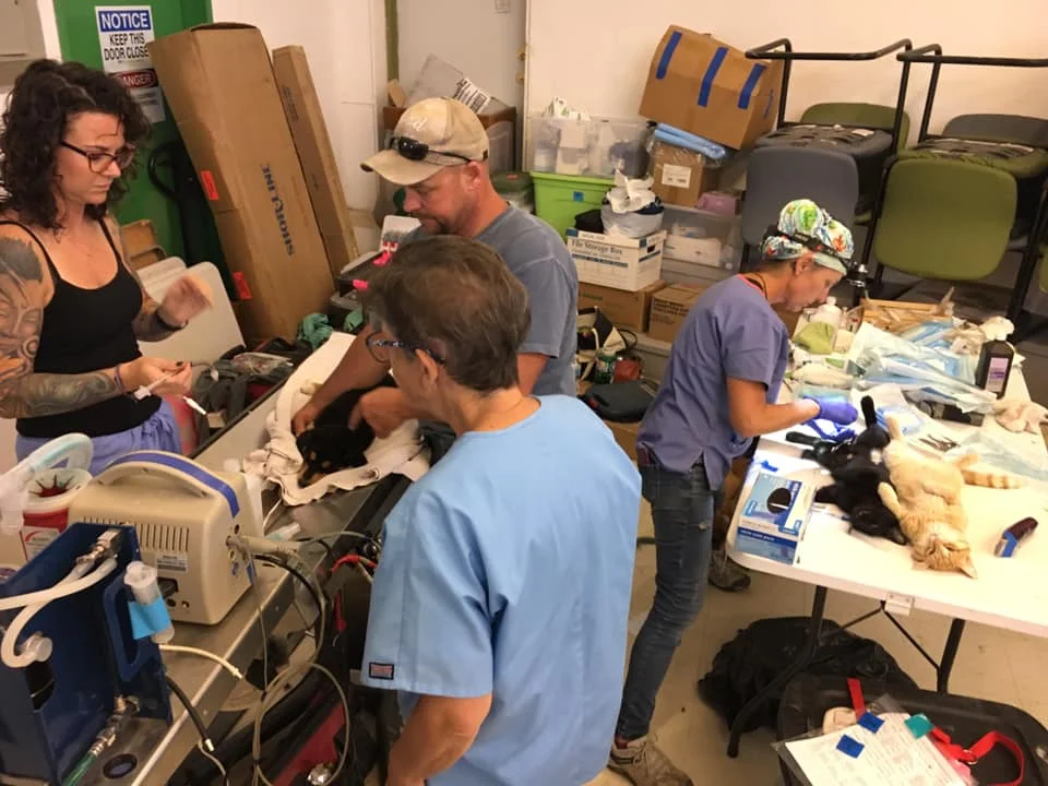 Pine Ridge clinic 3 6-2019.jpg