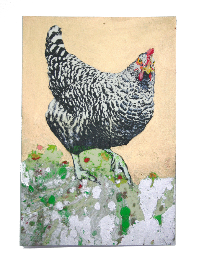   Smart Hen (Banded Plymouth Rock)  Gouache, Oil and Litho on paper, 5.5 in W x 8 in H 