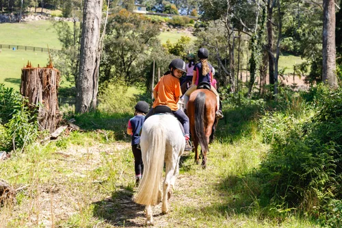 Riding — The Outlook Riding Academy
