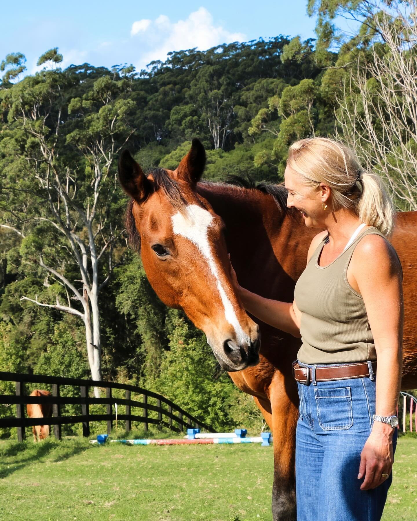 Paddock pals 🍃🌿🍂
.
.
.
.
.
.
.
#centralcoast #centralcoastnsw  #horses  #lovecentralcoast #whatsonsydney #tourismnsw #terrigal #horseriding #ExploreSydney #SydneyAdventures #Ilovesydney #lovensw #visitnsw #travelaustralia #seeaustralia #horse #avo