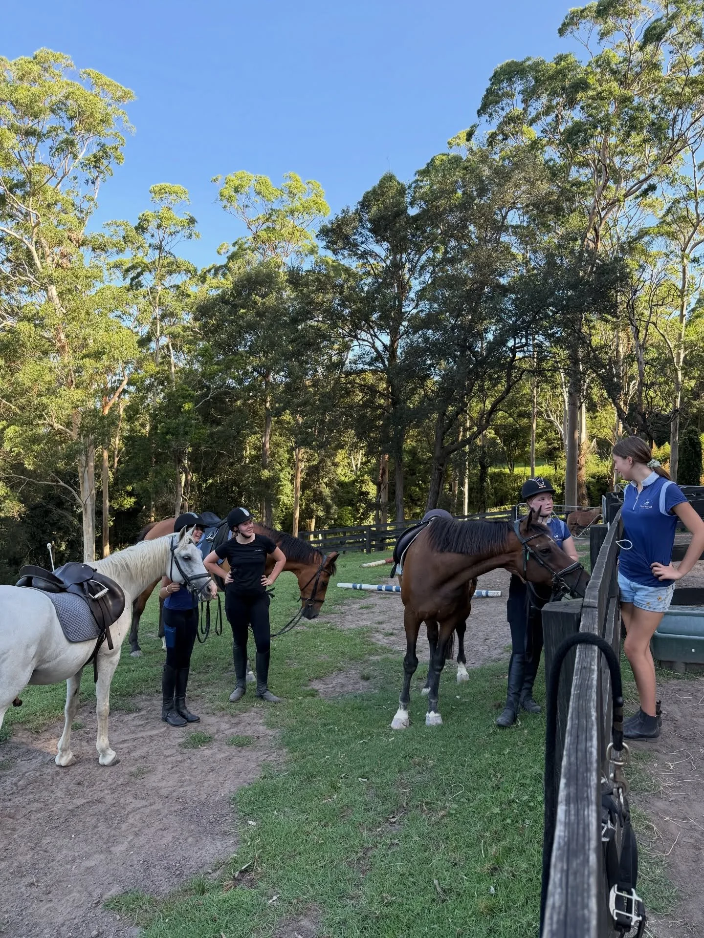Paddock Pals 🫶🐴🌳