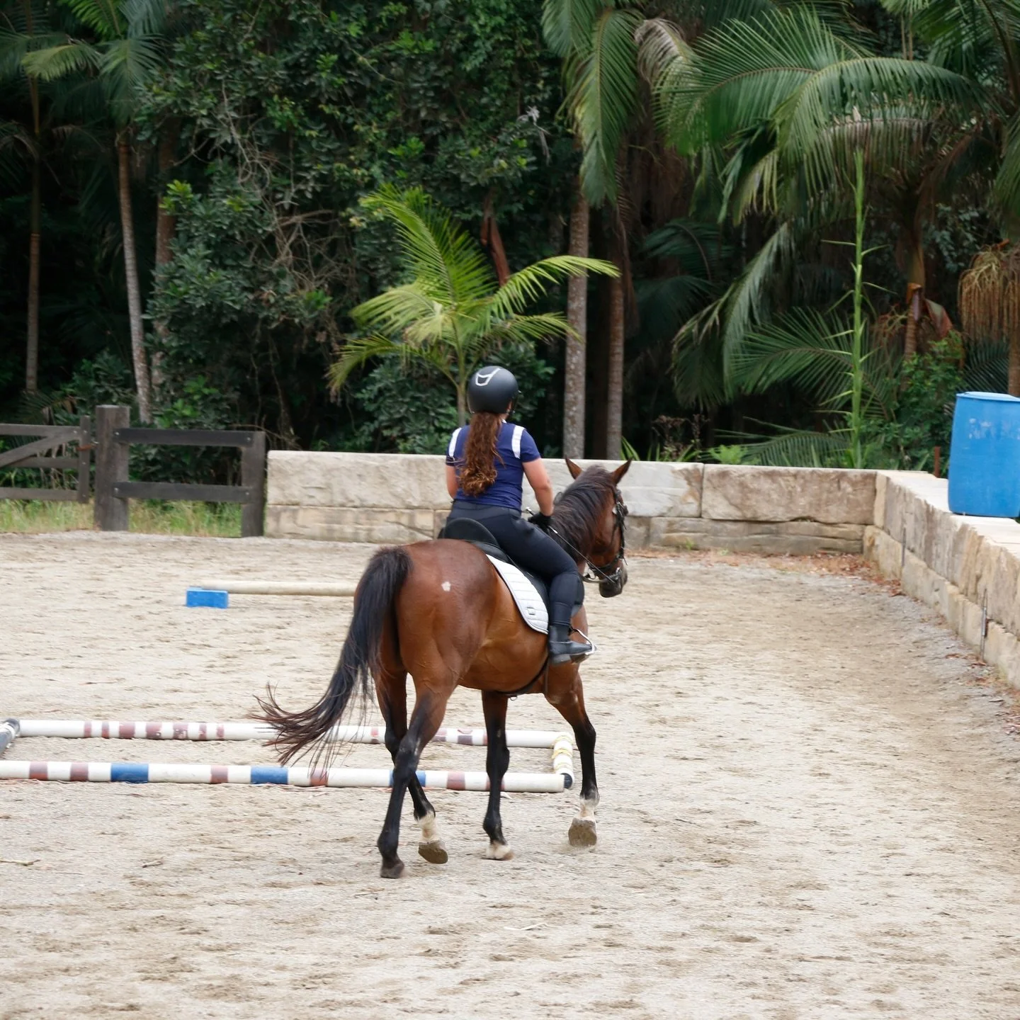 March moments 🌴💖🐴

Upcoming April Events
🐰 Easter Egg Hunt &amp; Pony Play: Good Friday, 3rd April (9am&ndash;12pm)

🐎 School Holiday Day Camps: Wed 8th &amp; Wed 15th April (8:30am&ndash;1pm)

🐴 Book via link in bio