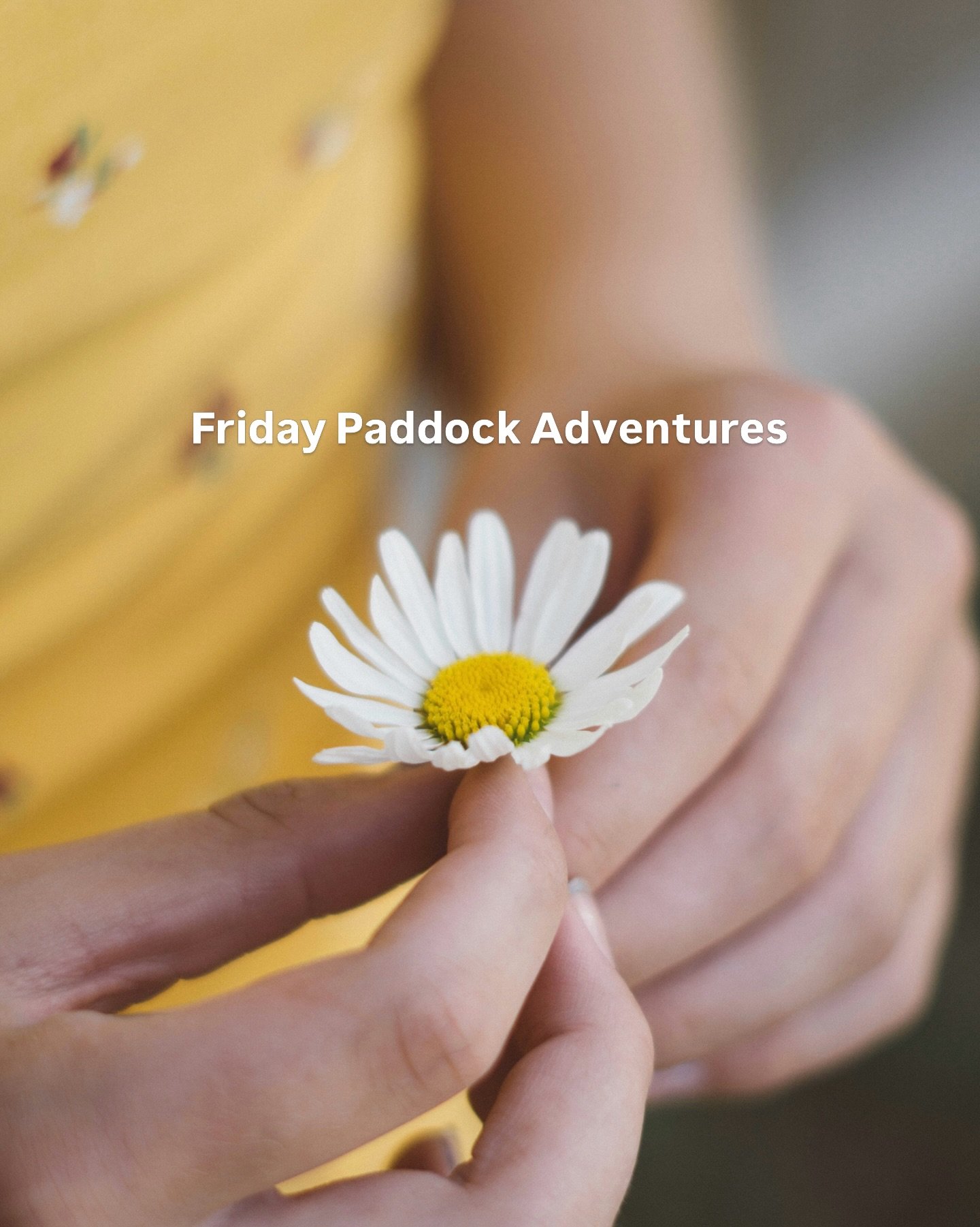 What a fun, muddy, and wonderful journey it&rsquo;s been this month for Friday Paddock Adventures 🦜🌼🪺

Paddock Adventures is all about:
✨ Building confidence with our horses.
✨ Being in nature and staying playful.
✨ Discovering new places, sounds,
