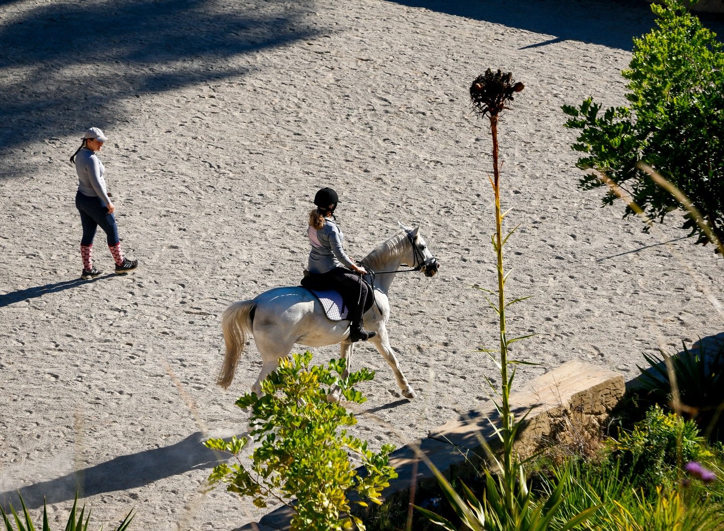 Calling all adults: whether you&rsquo;re dusting off old boots or stepping into the stirrups for the first time, it&rsquo;s time to find your stride🐴 

In a world of endless noise, the paddock is where you learn to quiet your mind and move in rhythm