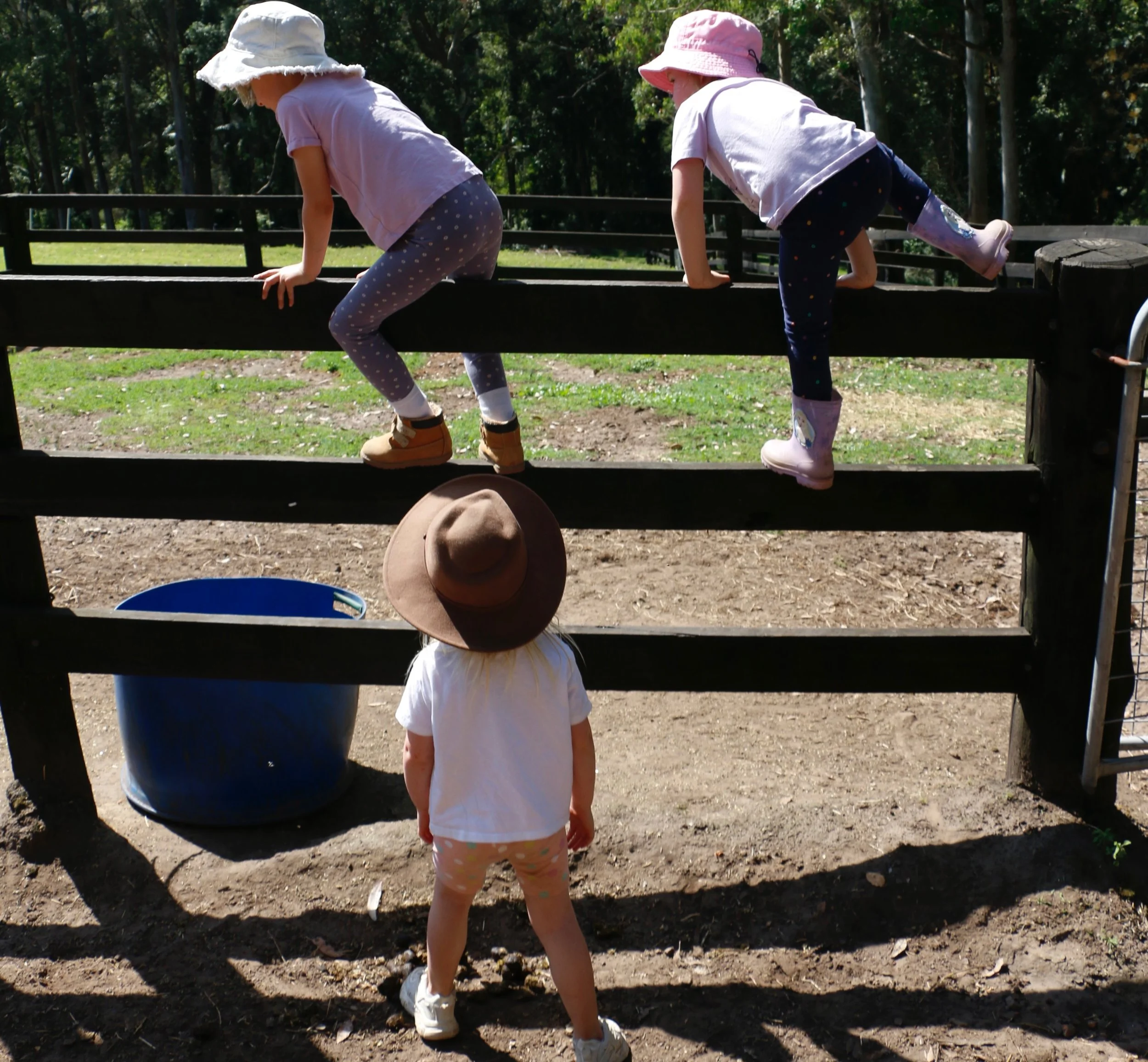 Happiness is found in the paddocks🐴🌱🌳

Where muddy boots, horse cuddles, fresh air, and unforgettable memories all come together 🫶