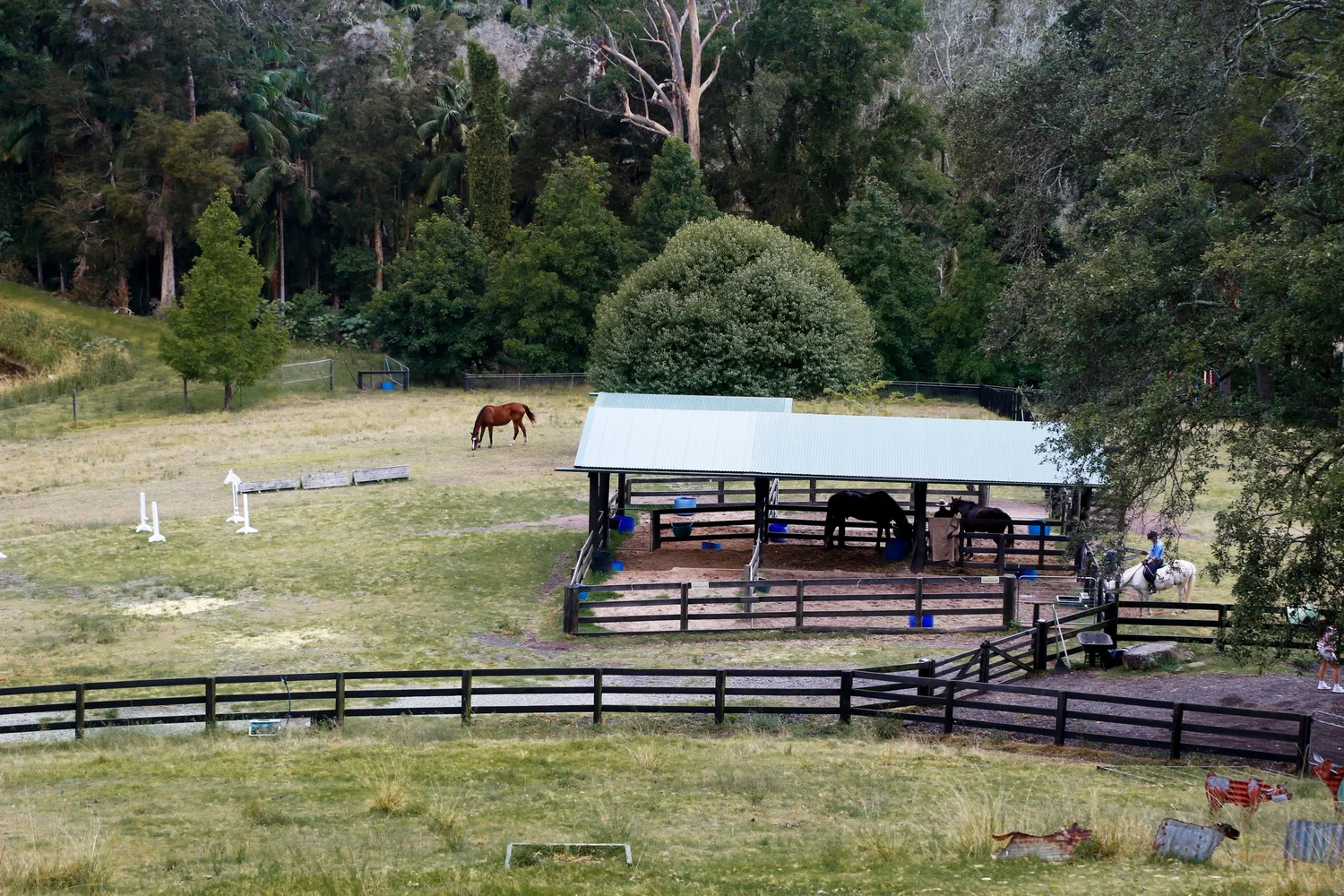 The Outlook Riding Academy