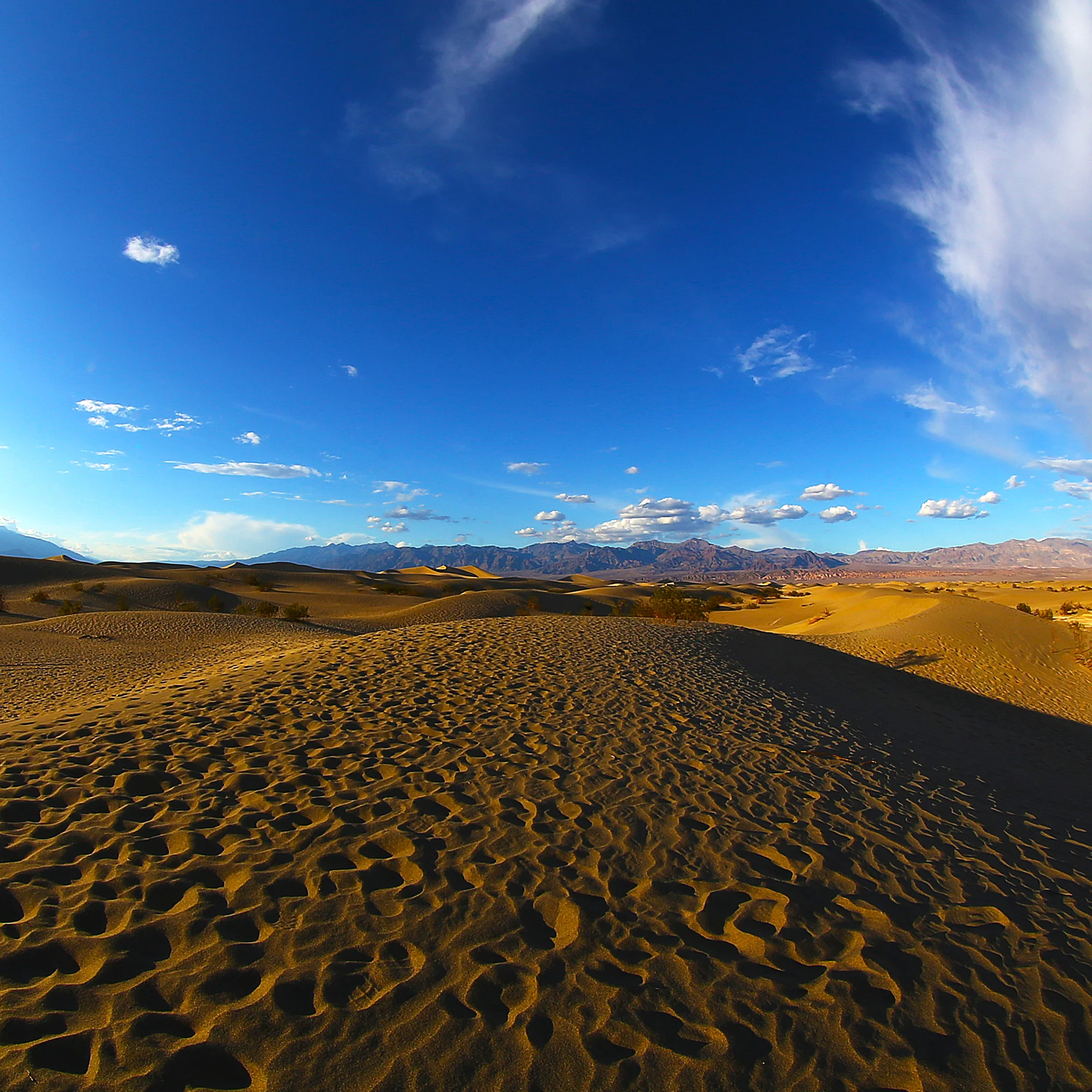 SameSource-Path to Distant Storms.jpg