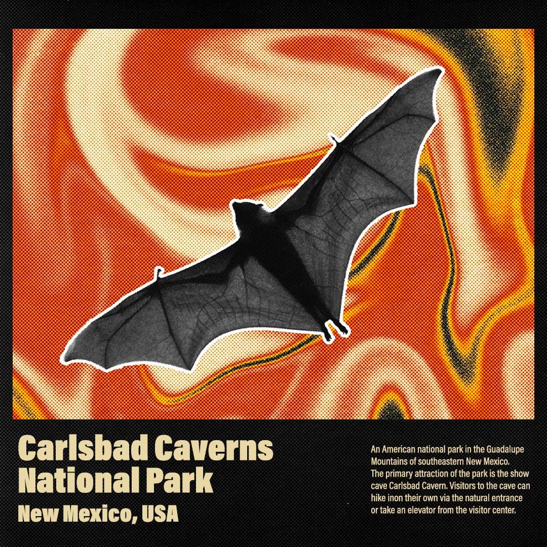 Carlsbad Caverns Poster
