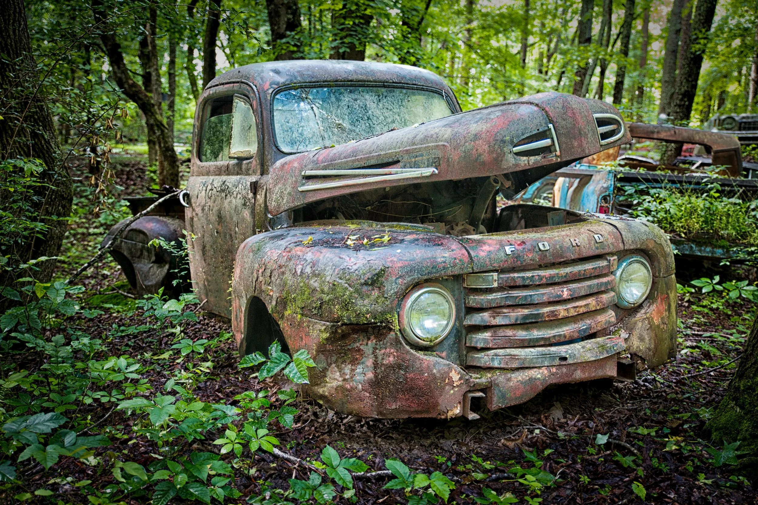 Fixer Upper Ford