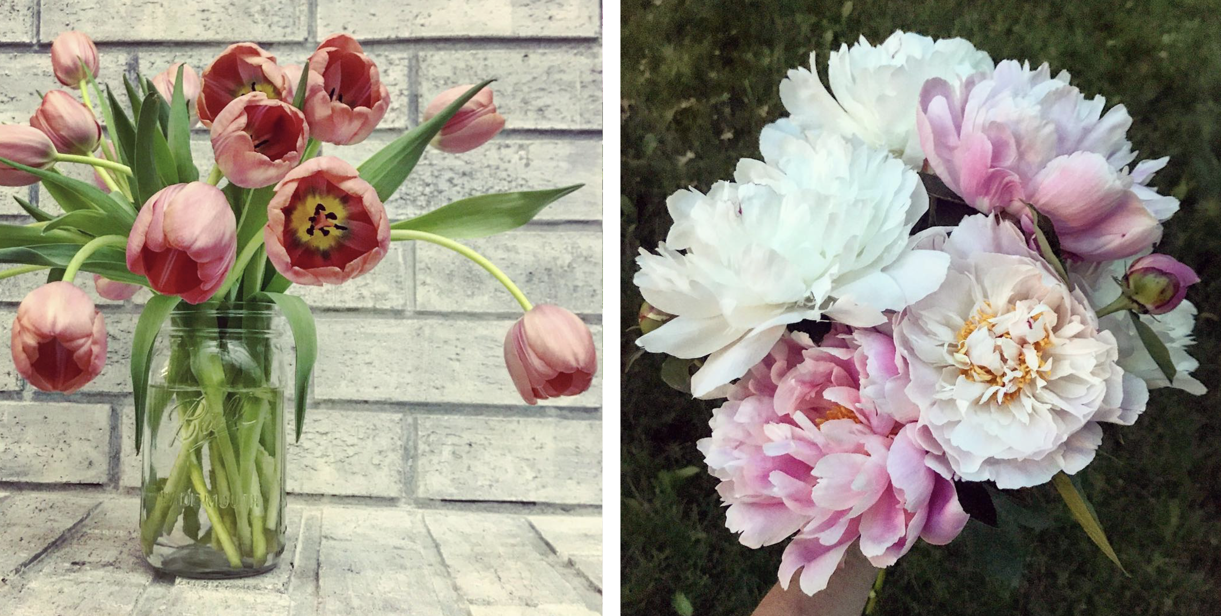 flower3.png
