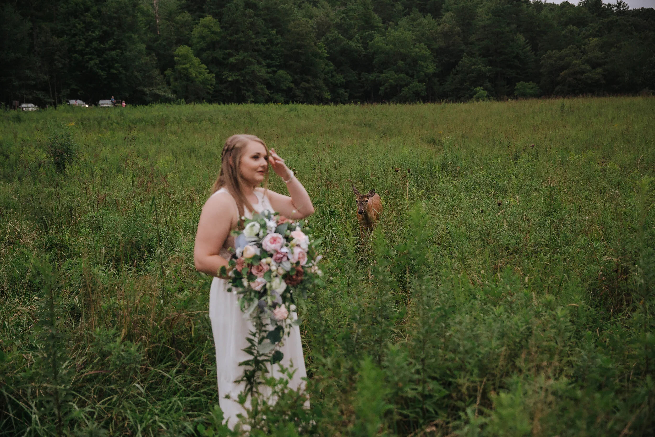 gatlinburg-cades-cove-elopement-deer.jpg