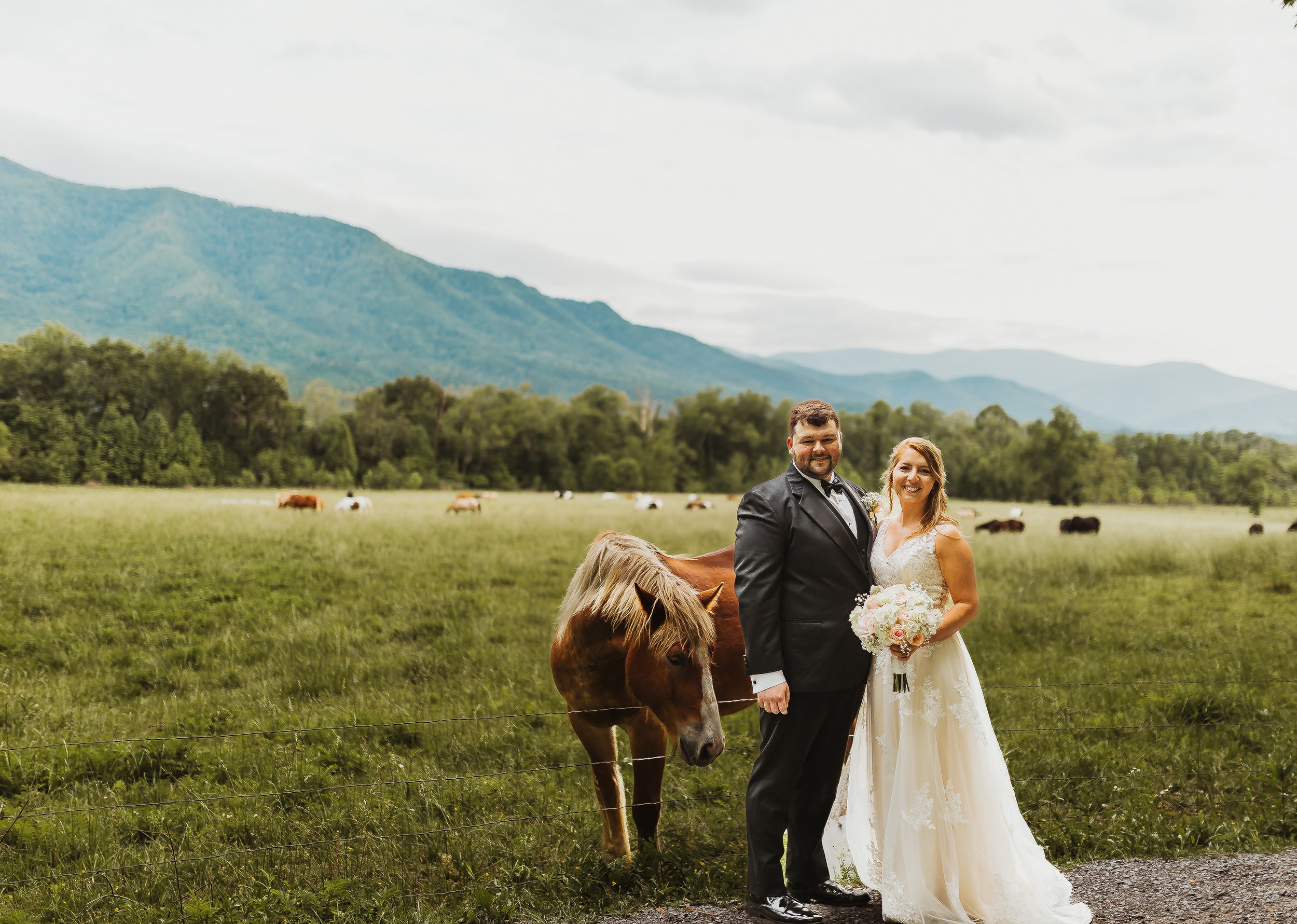 cades-cove-horse-elopement.jpg