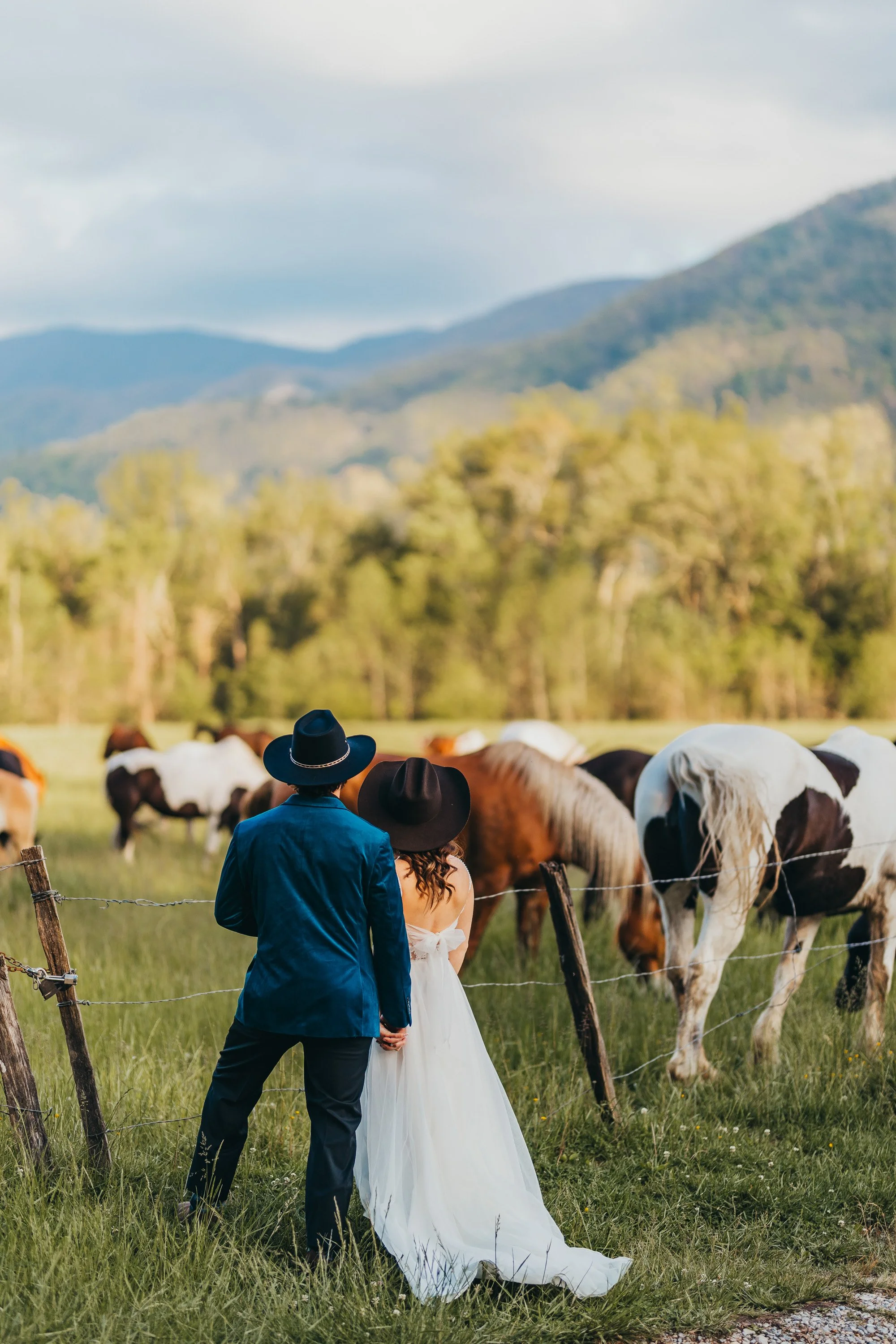 Couple watching horses in Cades Cove during their Gatlinburg elopement