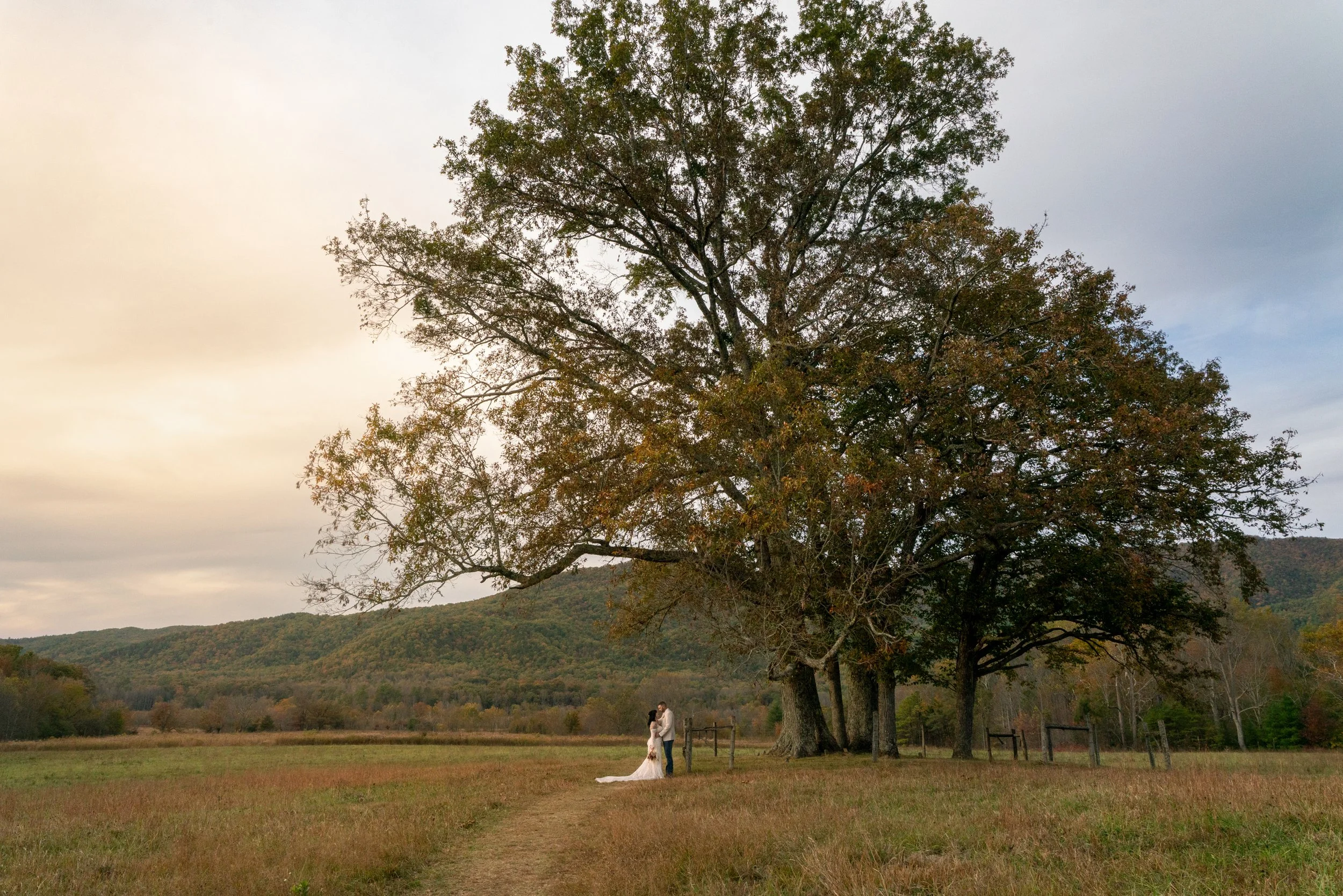Cades Cove Elopements-09.jpg