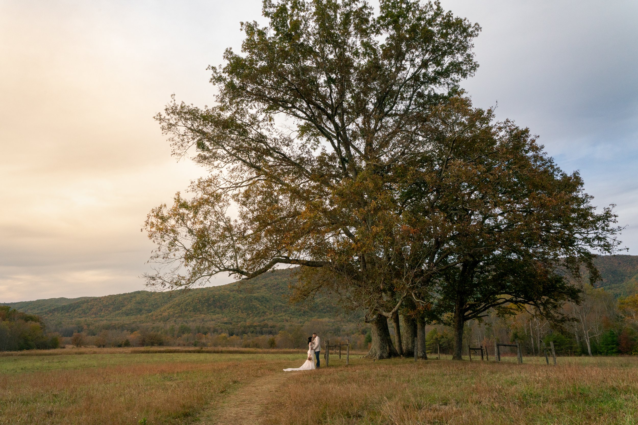 Cades Cove Elopements-09.jpg