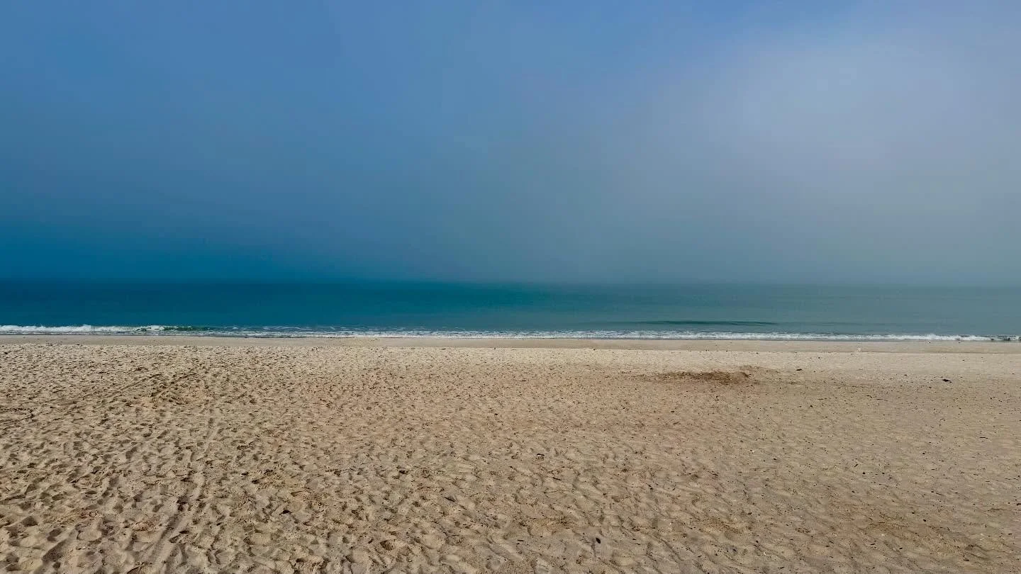 foggy beach