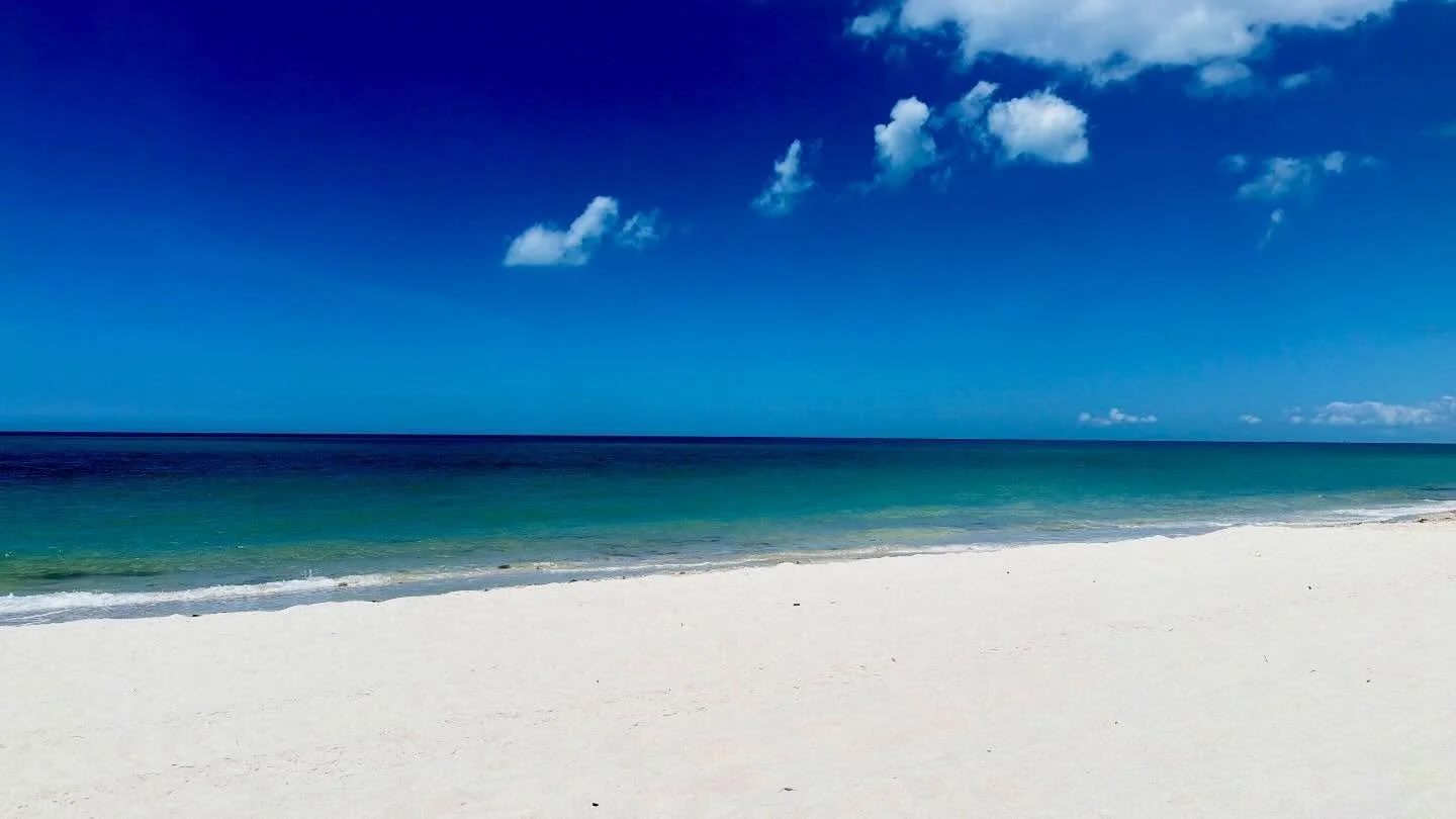 #naplesflorida #gulfofmexico #oldnaples