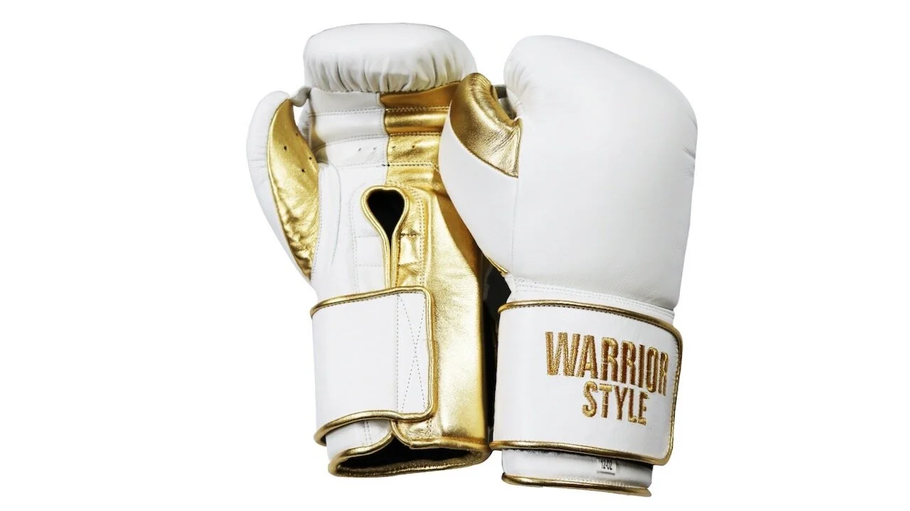 embroidered boxing gloves