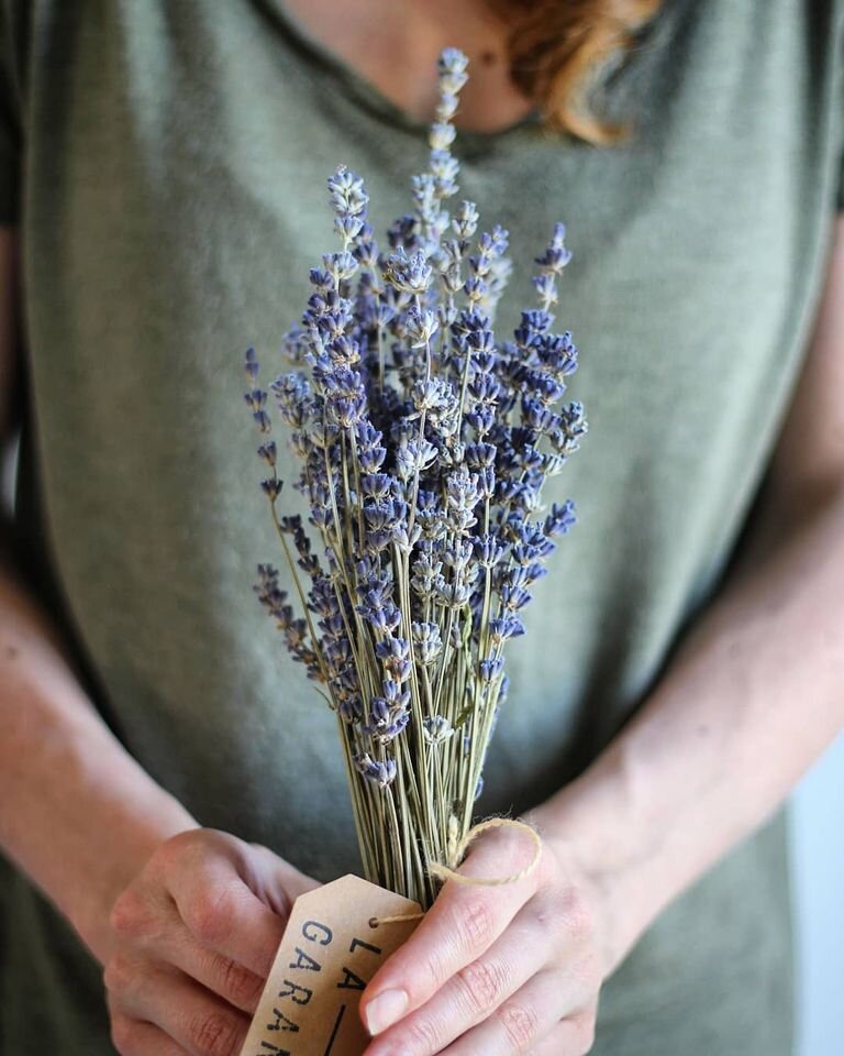 Bouquet de lavande séchée — Fleurs La Garance