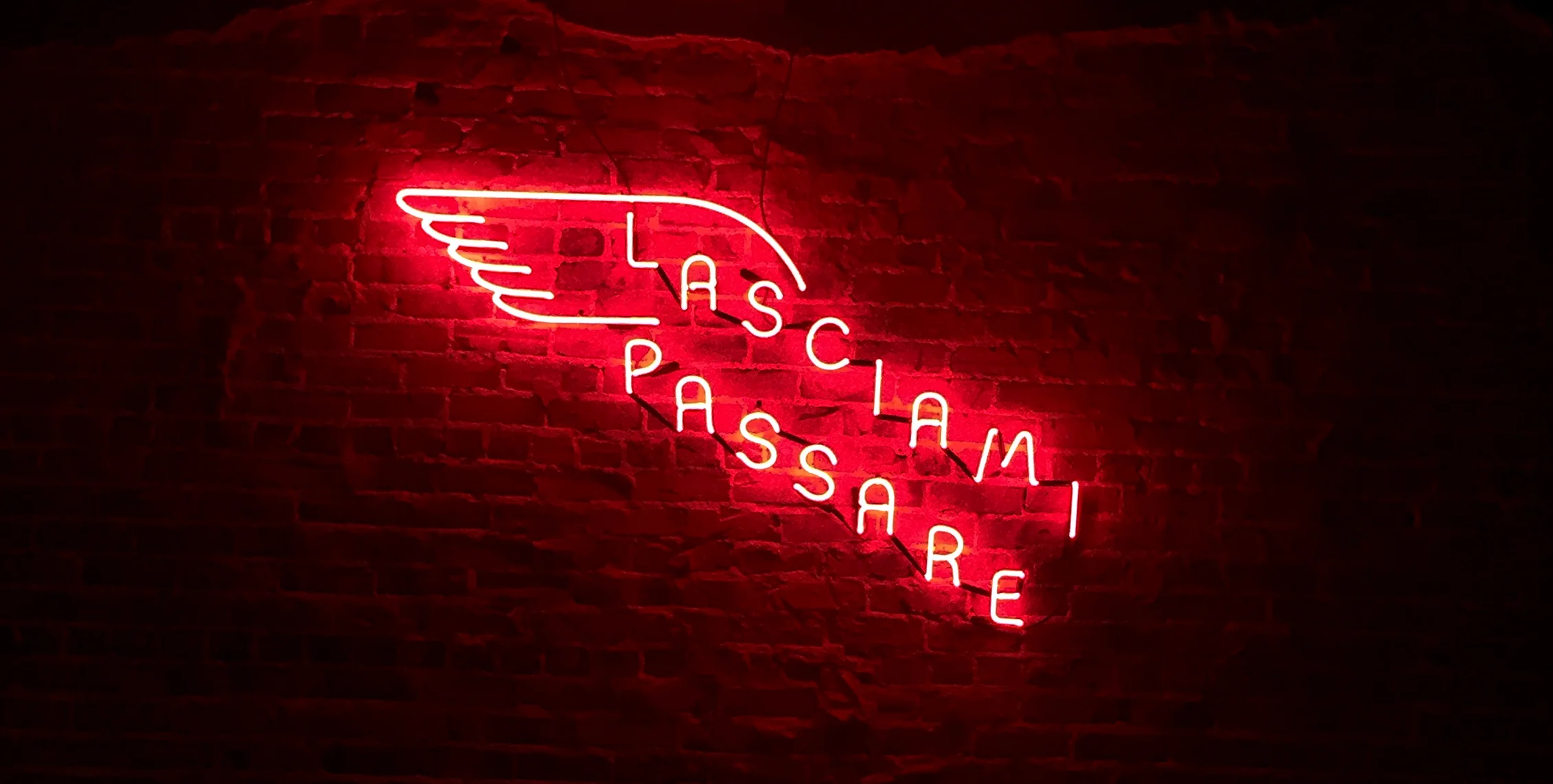 DZ_Neon-B_01.jpg