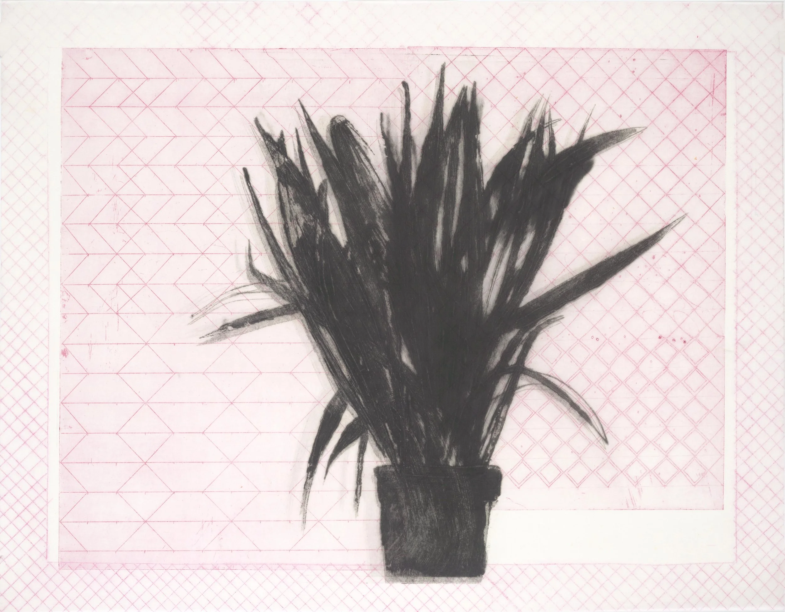 plants for the future - 5