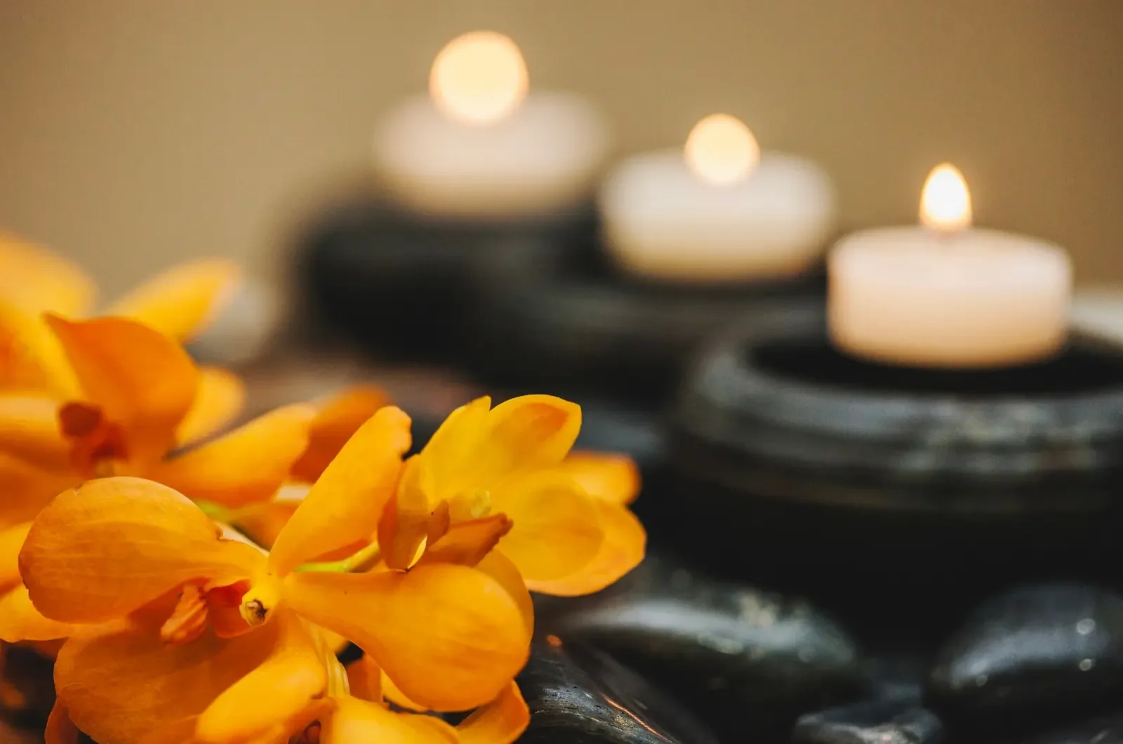 The DASA Body Sparkle