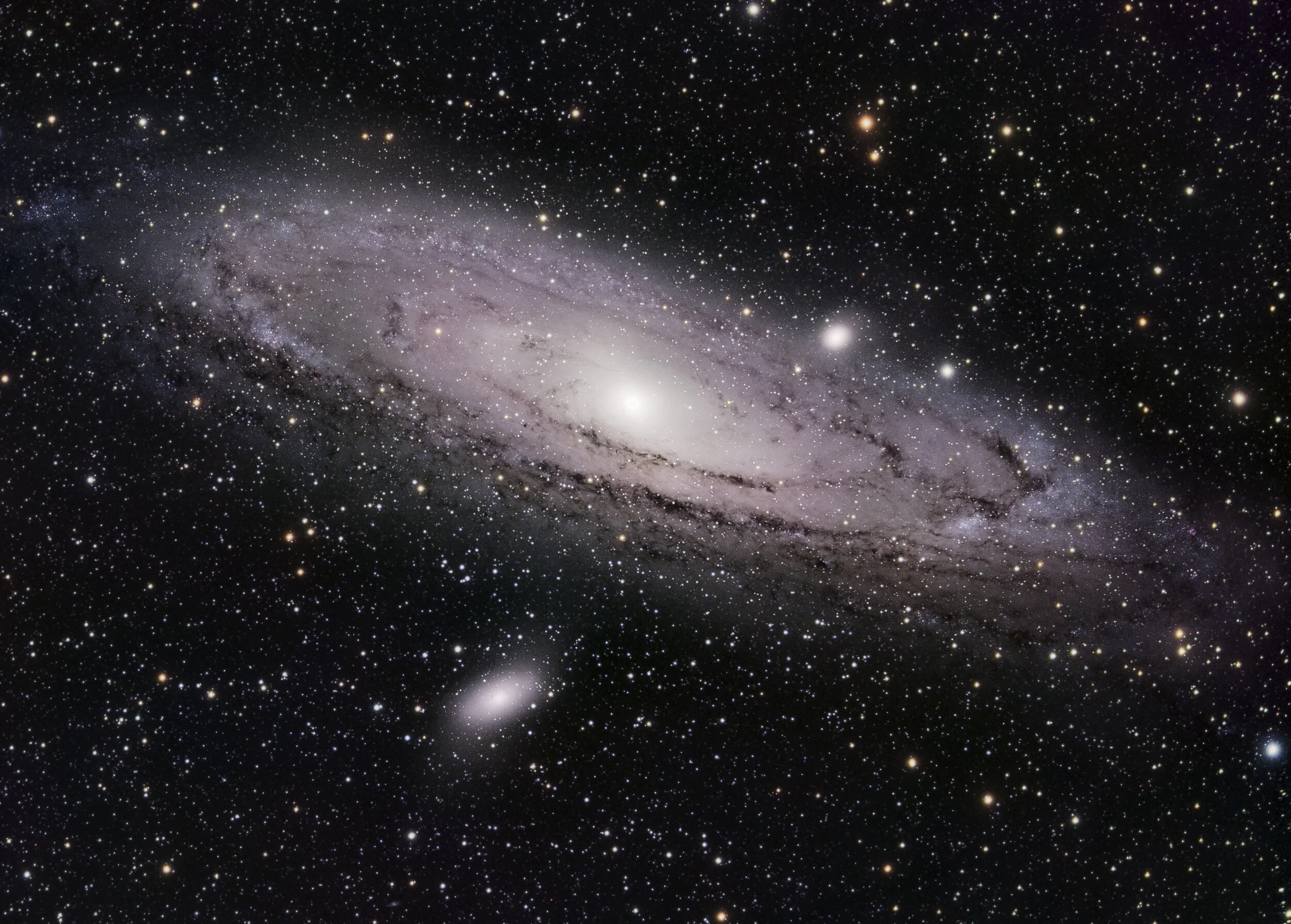 Andromeda_Final_2_small.jpg