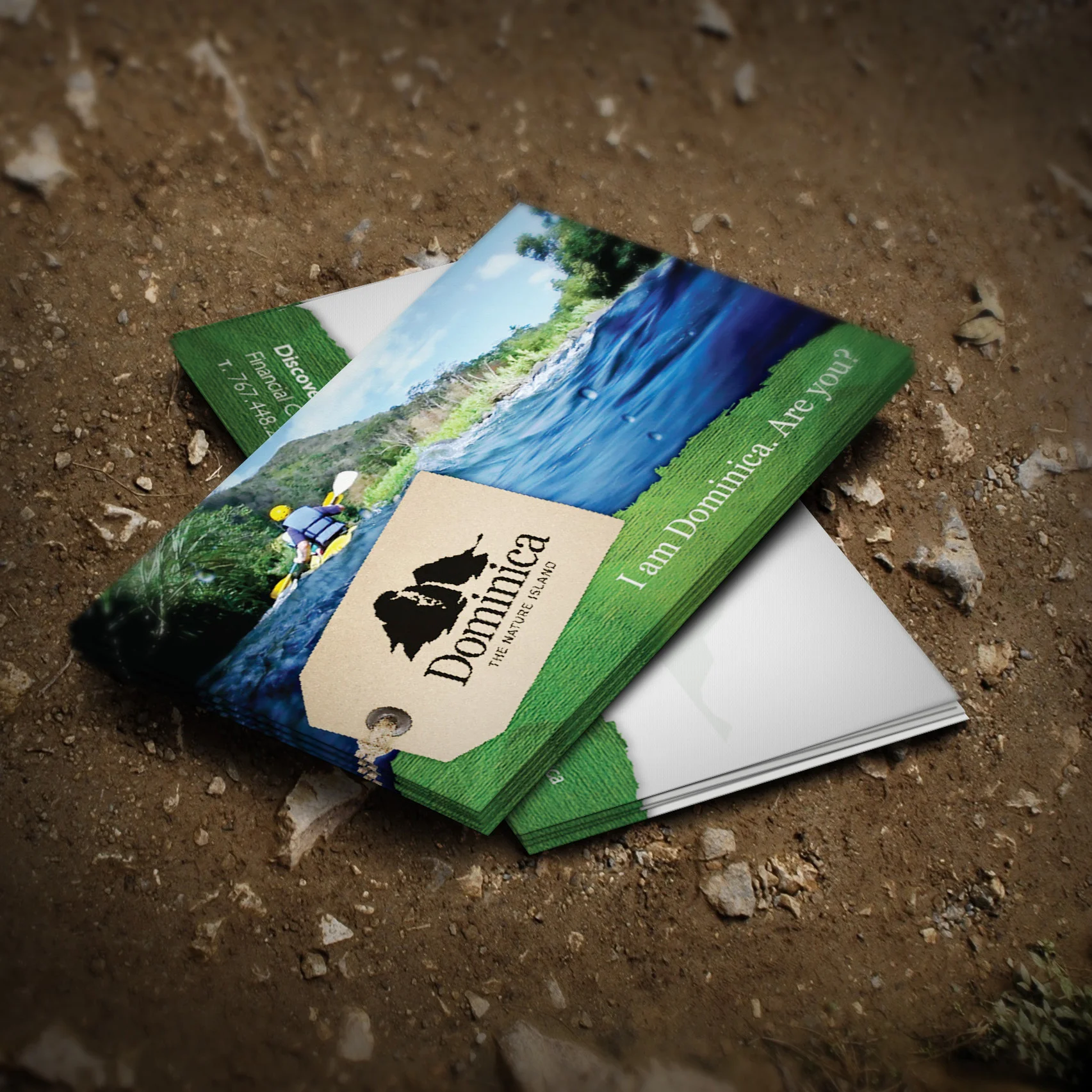 BUSINESS CARD