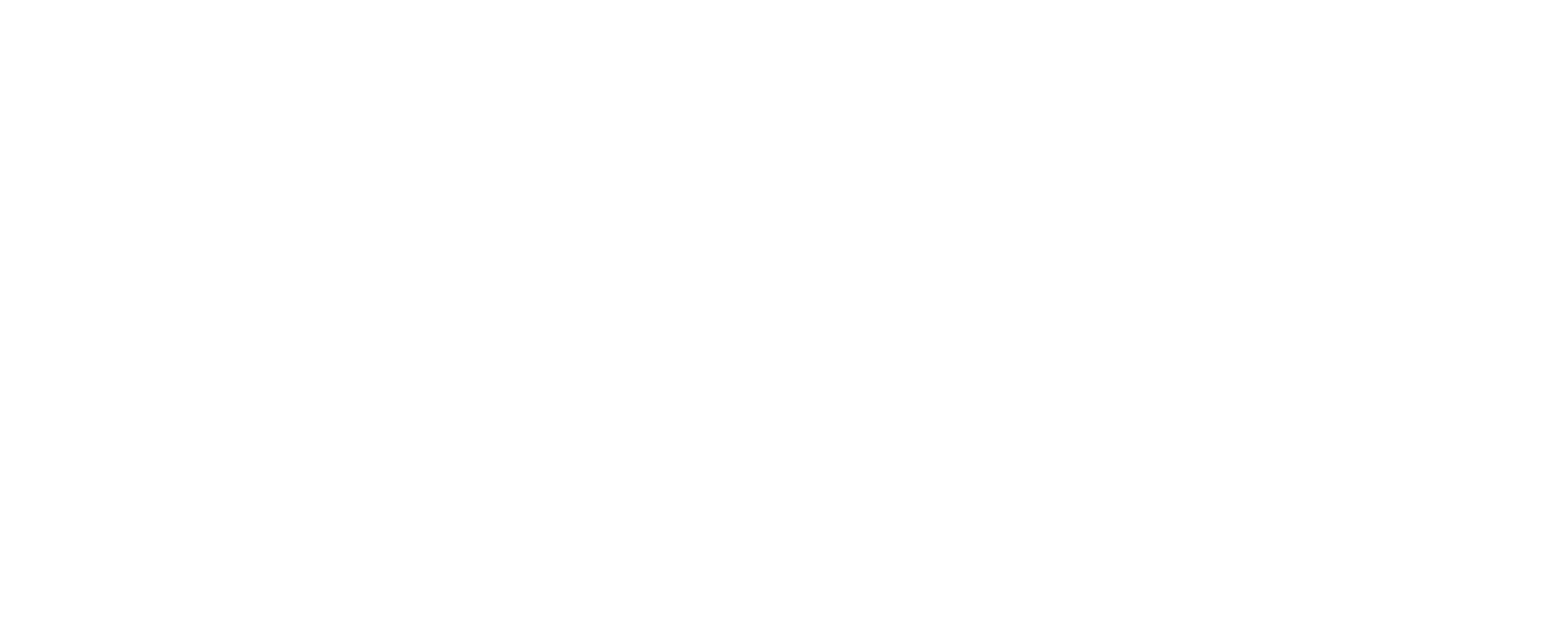 Introspeck_LOGO.png