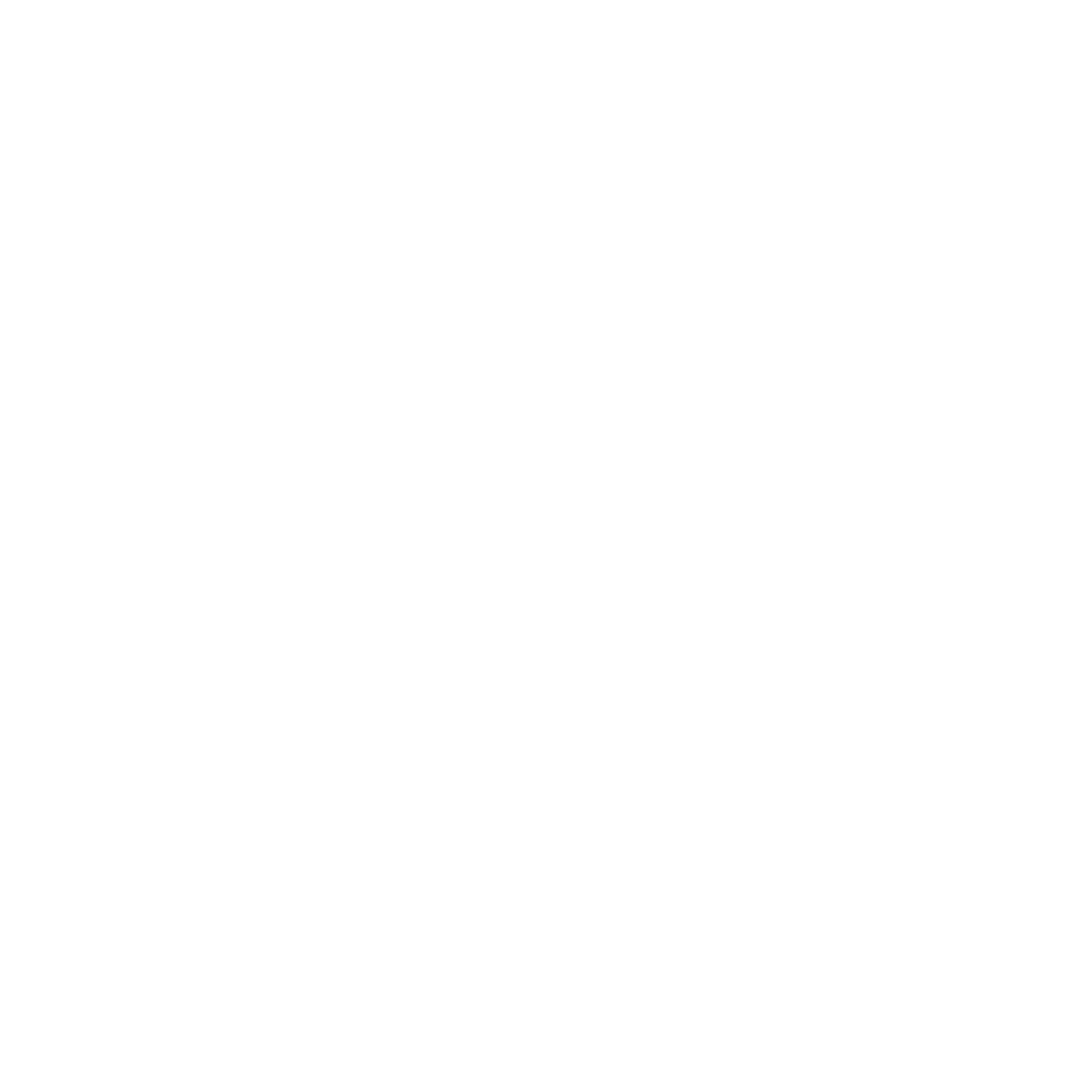 VCS Wesbite-FAN-LOGO.png