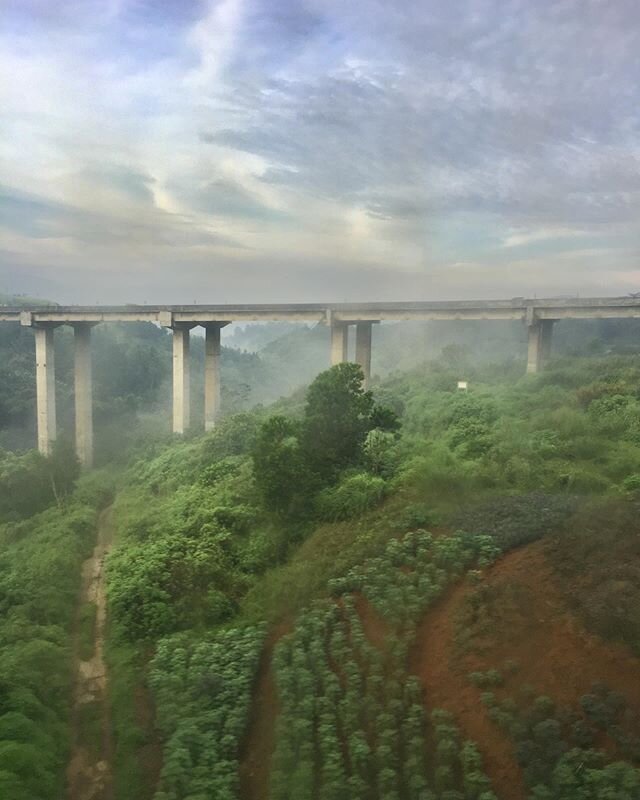 Jembatan layang di atas perkebunan