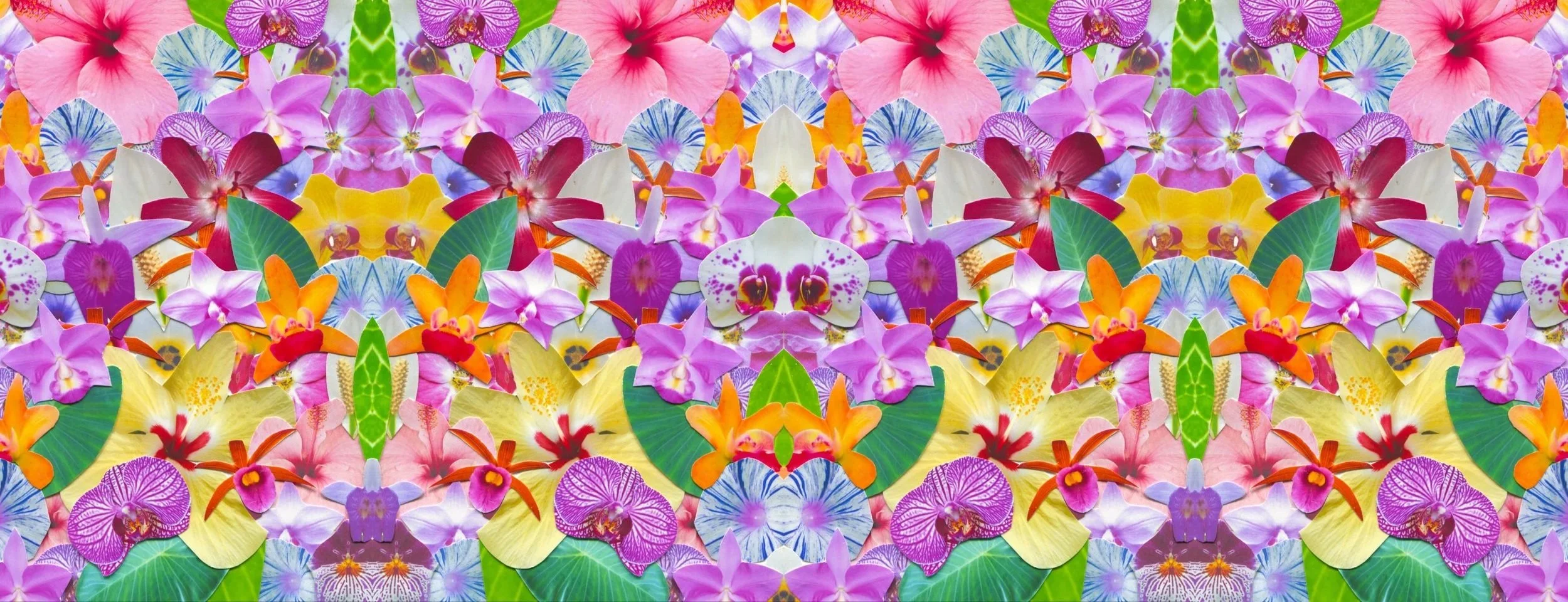 AncestralBloom_UPDATED_SOKA-V2.jpg