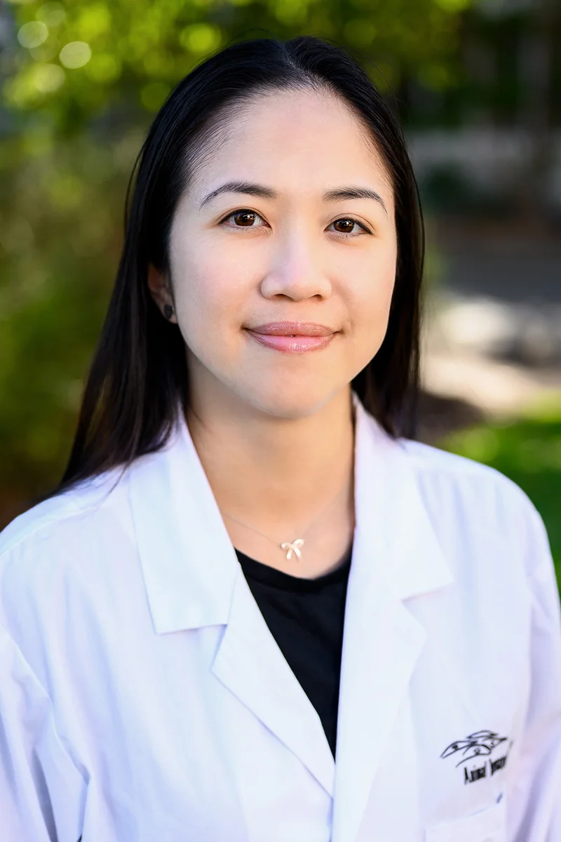 nellie_choi.jpg