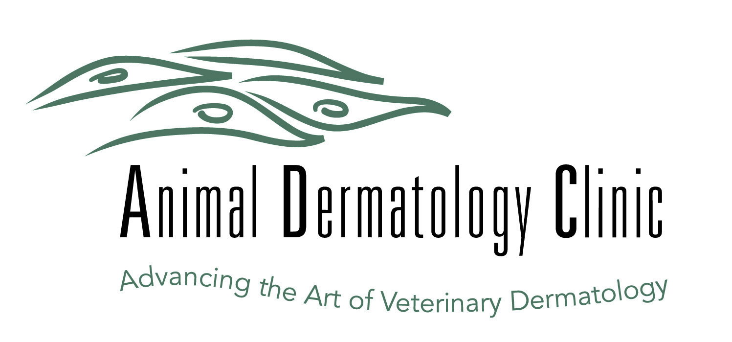 Animal Dermatology Clinic | Your Dermatology and Ear Specialists