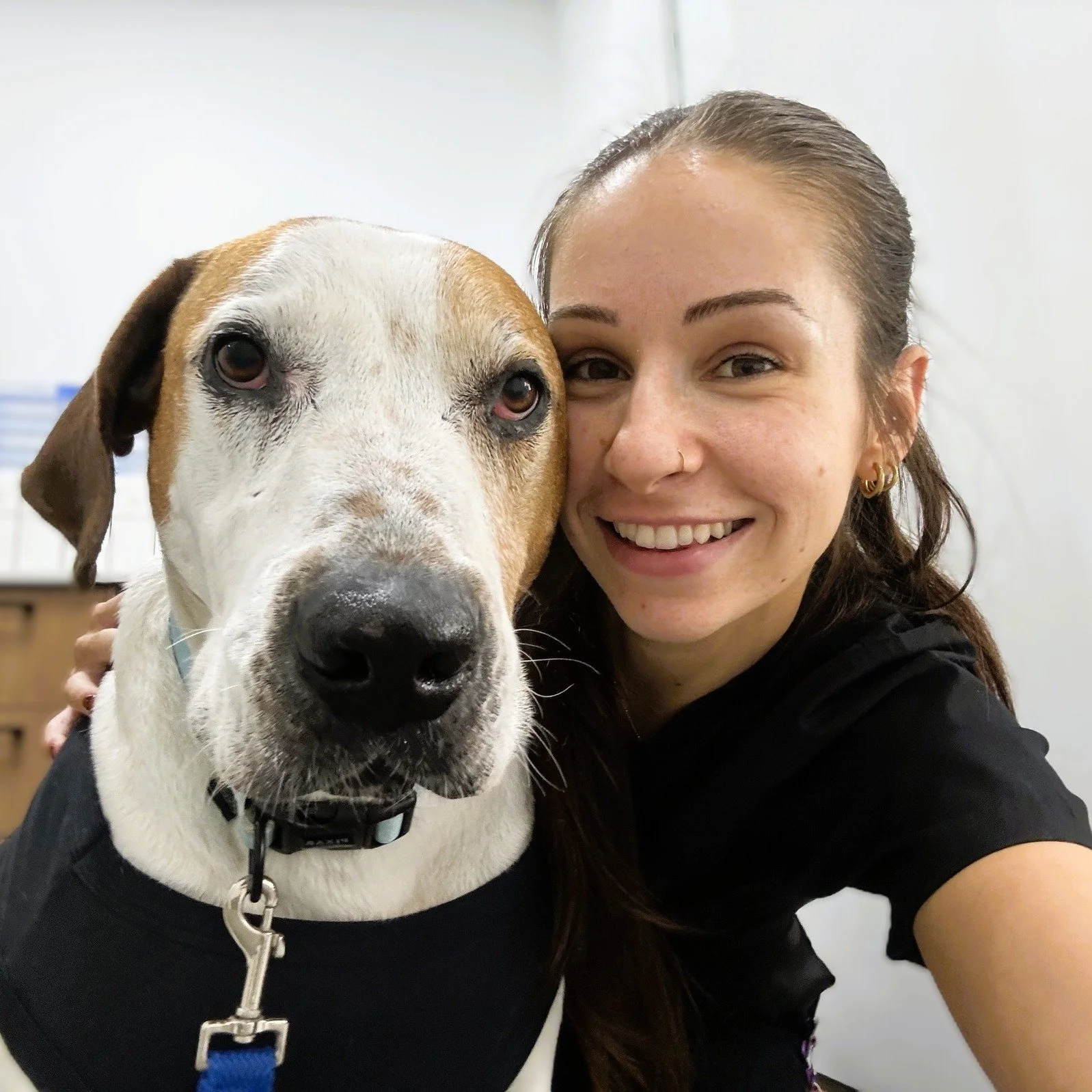 🌟 Case Highlight: Bobo&rsquo;s Story 🌟

Our team had the privilege to help Bobo, who presented with multiple skin tumours and oral masses. Under general anaesthesia, we performed laser therapy on his cutaneous lesions and excised several oral gingi