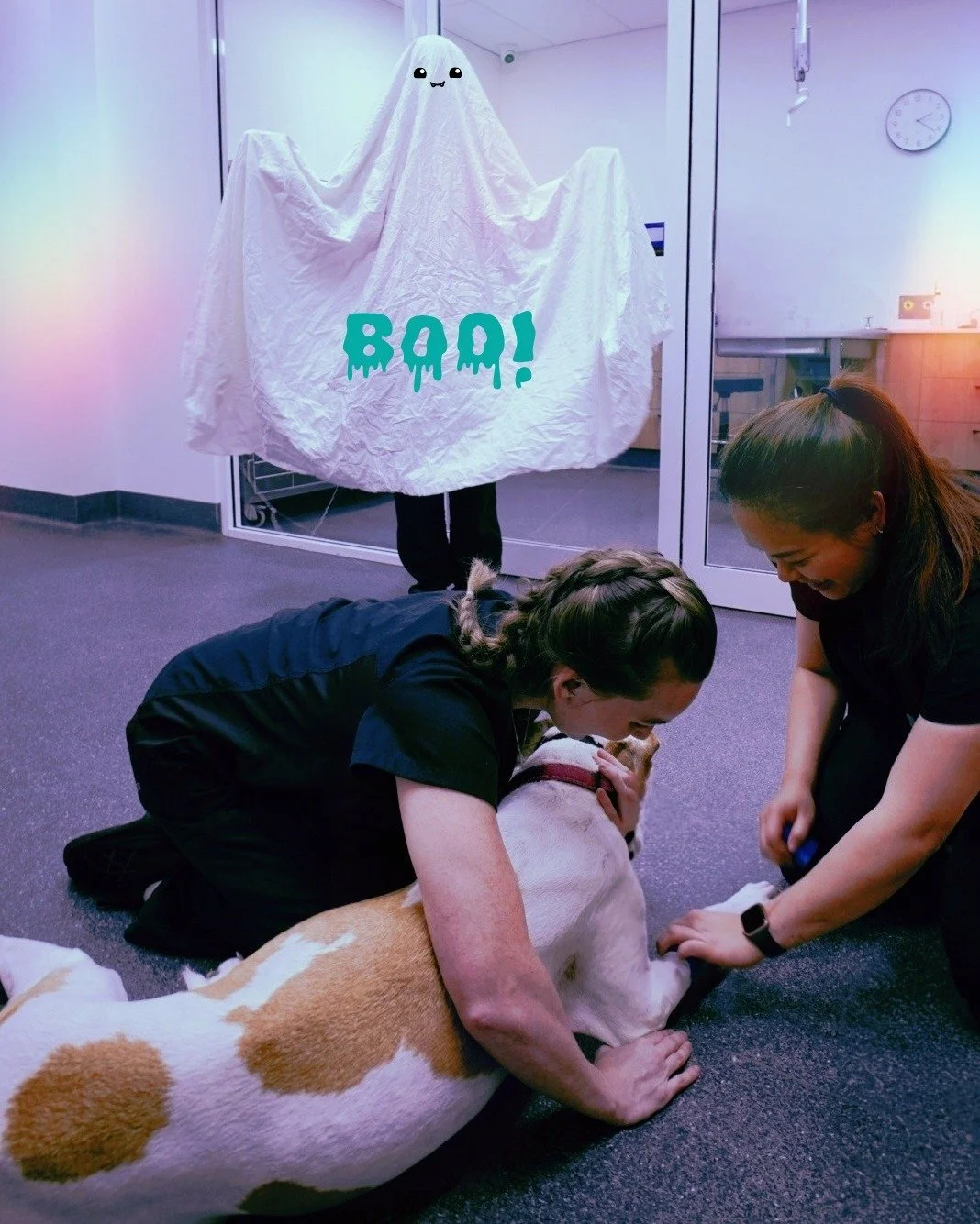 Just your average day drawing blood&hellip;

👩🏼&zwj;⚕️👩🏽&zwj;⚕️🐶👻

Nothing strange going on here at all. Definitely not haunted. 

Happy Halloween from the ADC team! 🎃