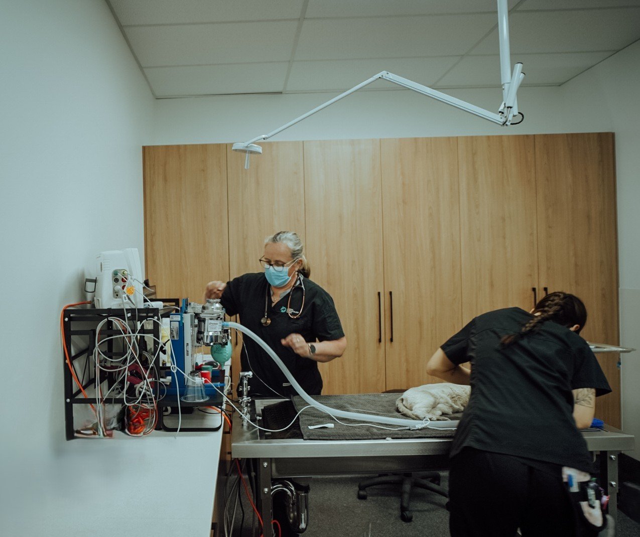 Setting up for another procedure 💙

Every patient is prepared with precision and care from anaesthesia monitoring to equipment checks to ensure everything runs smoothly and safely.

These behind-the-scenes steps are a big part of what helps us deliv