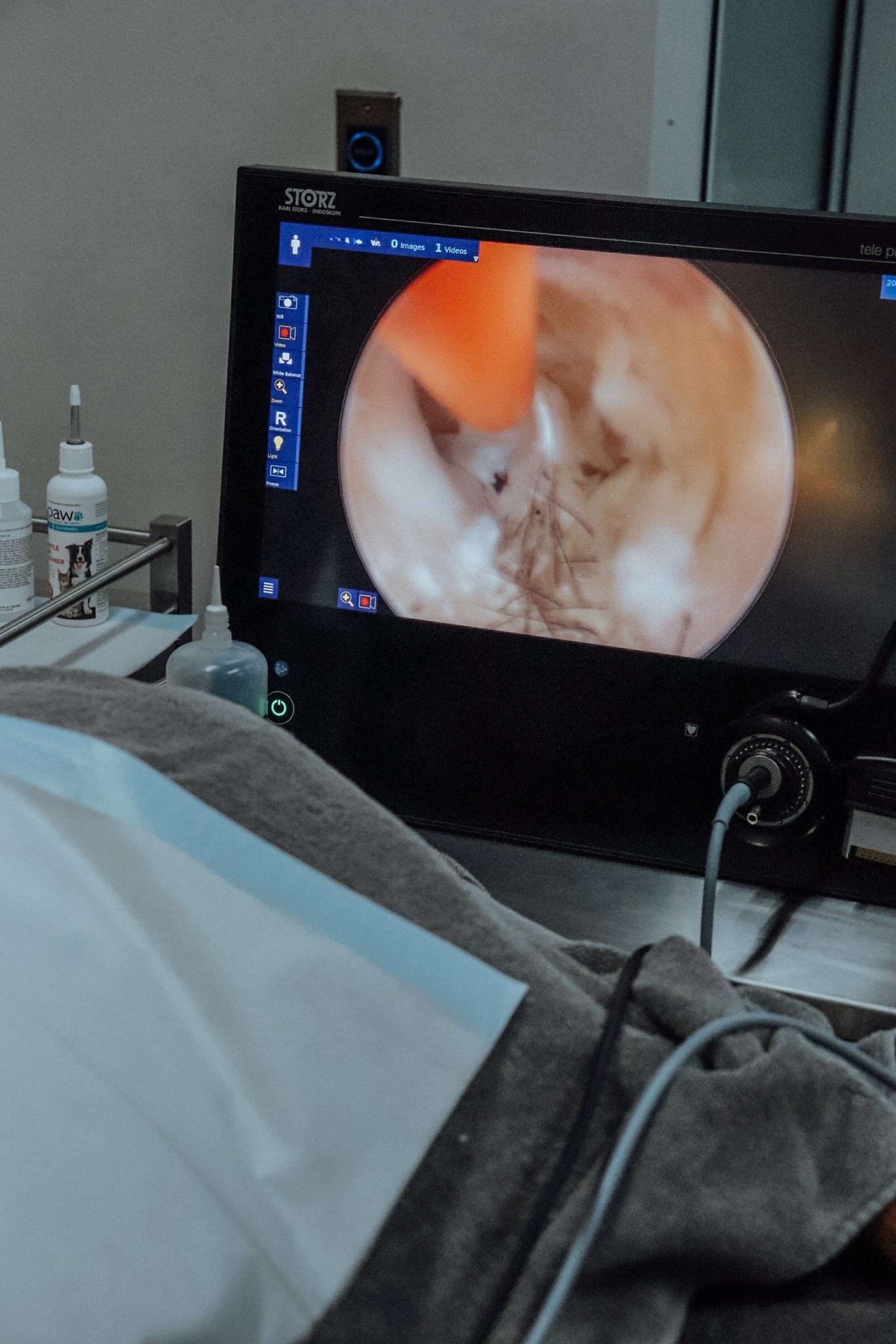 A little behind-the-scenes look at an ear flush using our video otoscope 👀✨

This amazing tool lets us see deep into the ear canal so we can safely remove all that built-up discharge and give our patients instant relief.

But it&rsquo;s more than a 