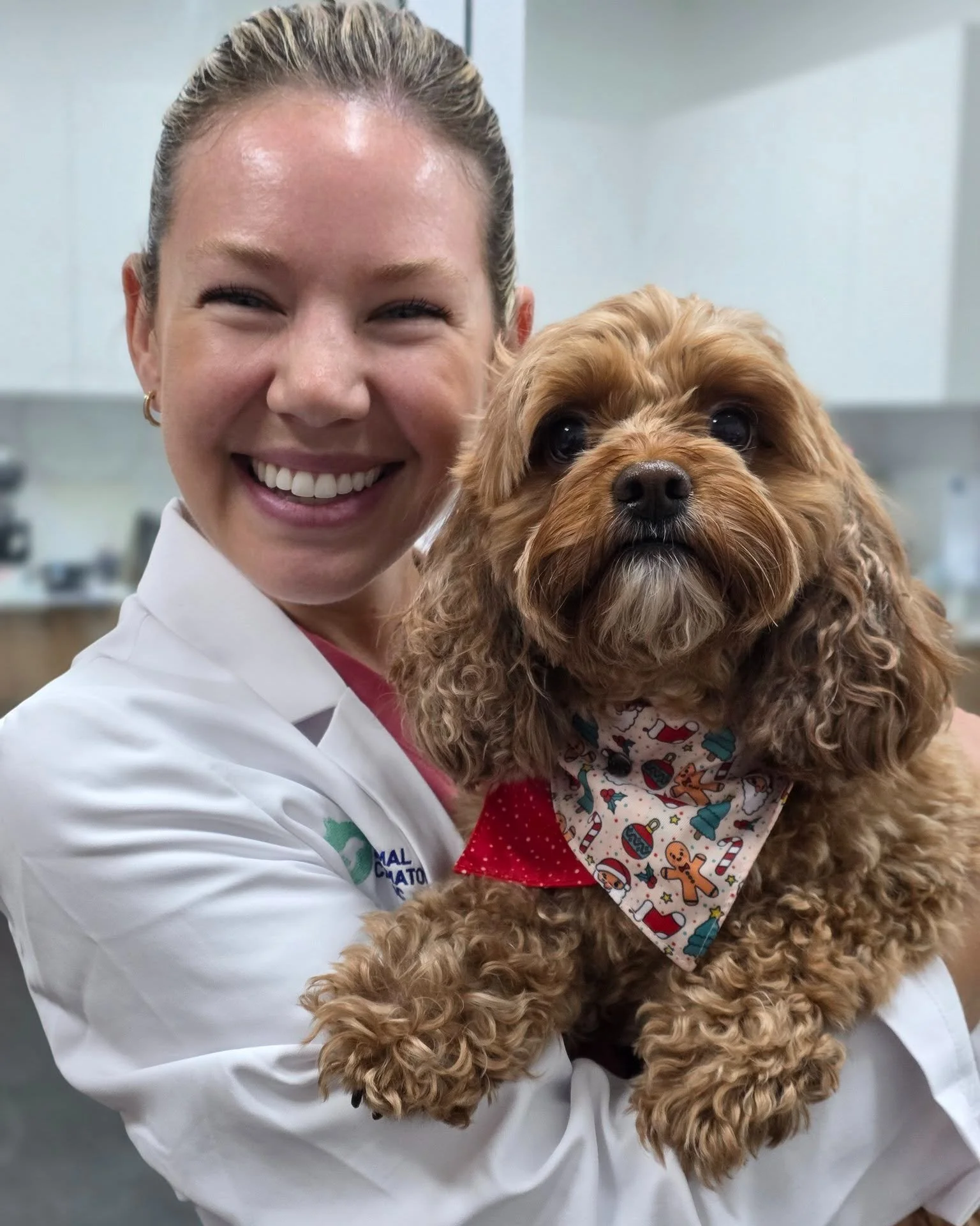 Nothing brightens our clinic like your pets turning up in festive outfits. Thank you for spreading joy and cheering us up during this busy season! ❤️🎅

Keep those Christmas looks coming&hellip; we absolutely love seeing them! ✨🐶🎁