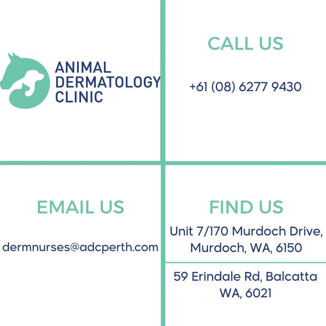 Need to get in touch with Animal Dermatology Clinic?

All of our contact details are now in one place for your convenience 🐾

Please note, we have a new email address:
📧 dermnurses@adcperth.com

We look forward to hearing from you!