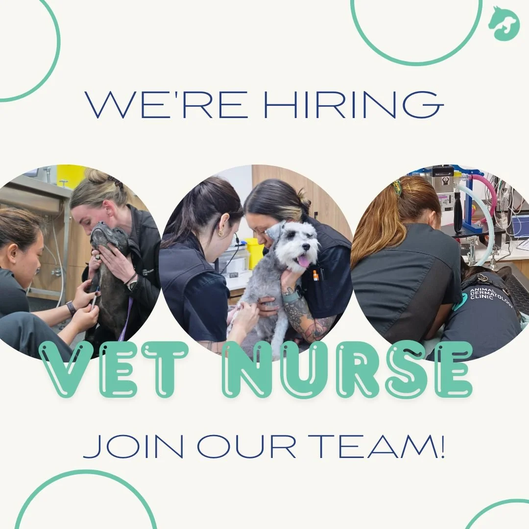 🌟 We&rsquo;re Hiring: Veterinary Nurse (Full-Time) 🌟

Animal Dermatology Clinic Perth is a specialist veterinary dermatology and ear care practice based in Perth. We are dedicated to helping pets with skin diseases, allergies, chronic ear condition